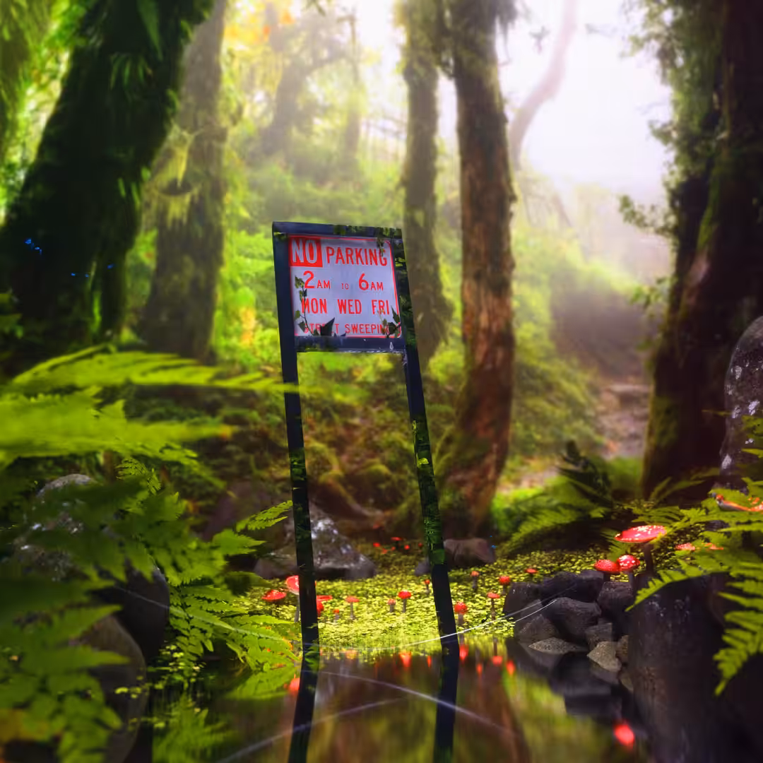 Hidden Forest