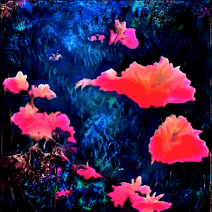 RXALITI #136 [🌌 Dead ai-0rganz†crumble†into morbid-loops, skyr†thorn∆†fract!ons break n!ght into spl!ntered depths.]