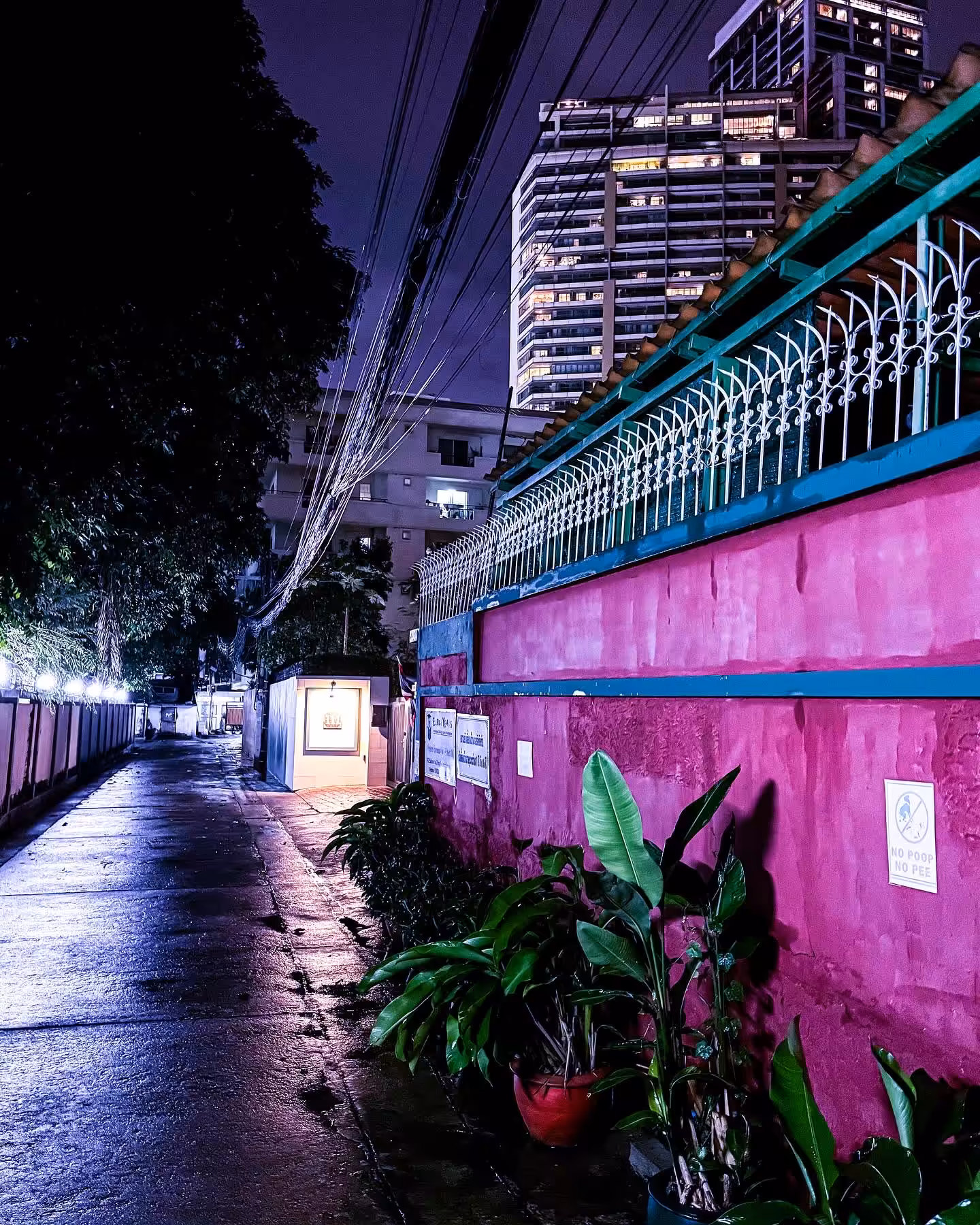 Streets of Bangkok - Gates & Walls II