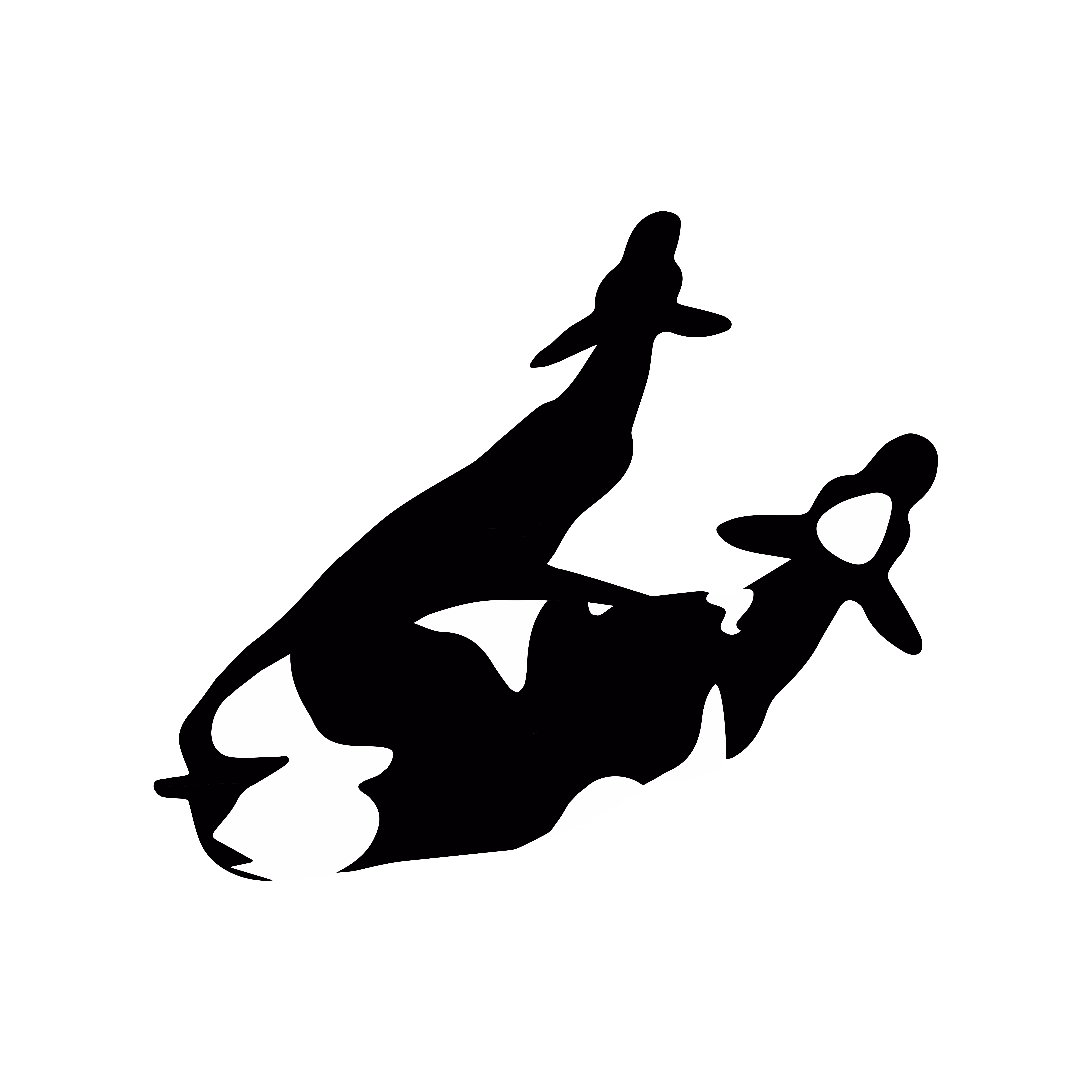 c0w - B&W