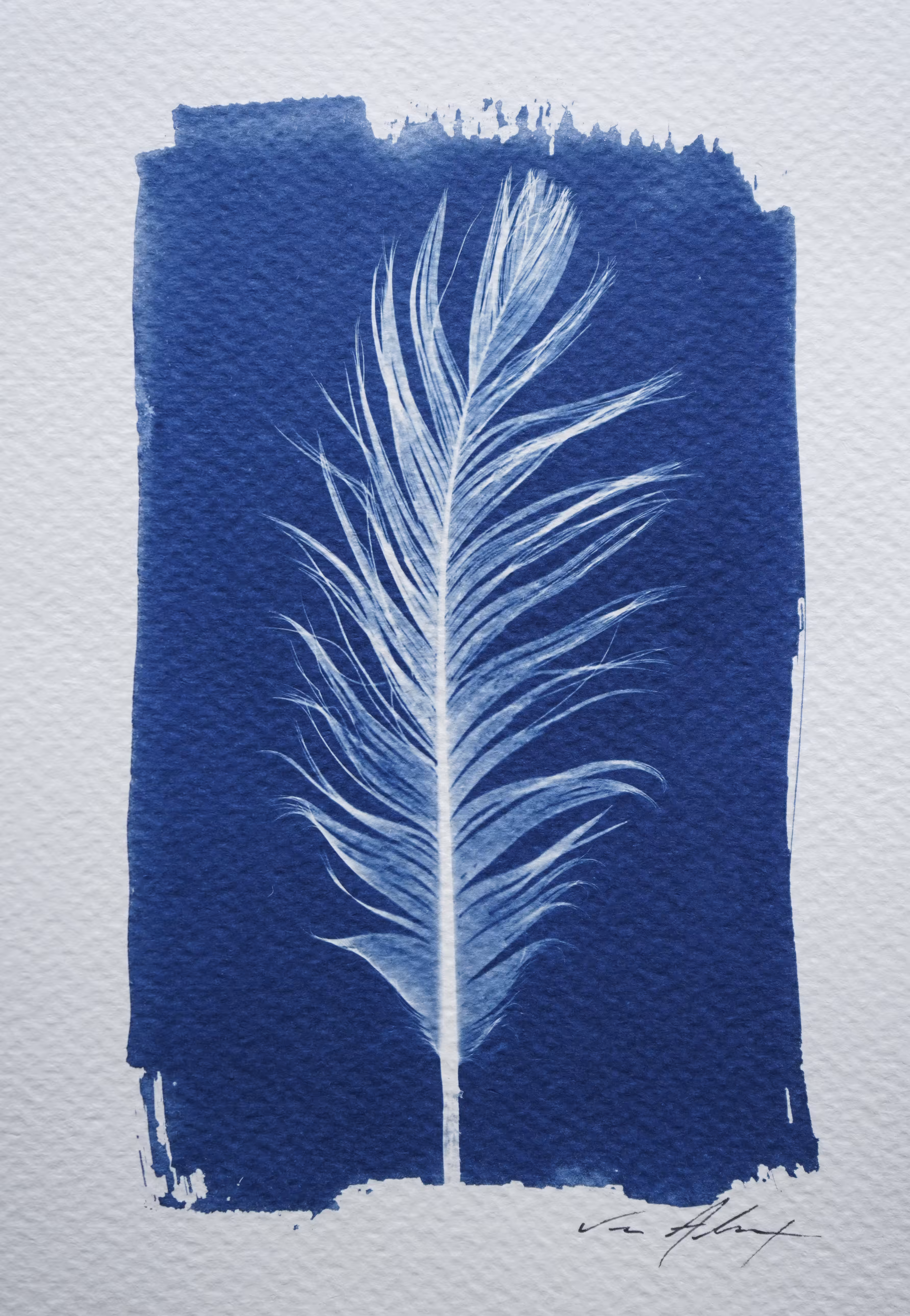 Feather For Rayne