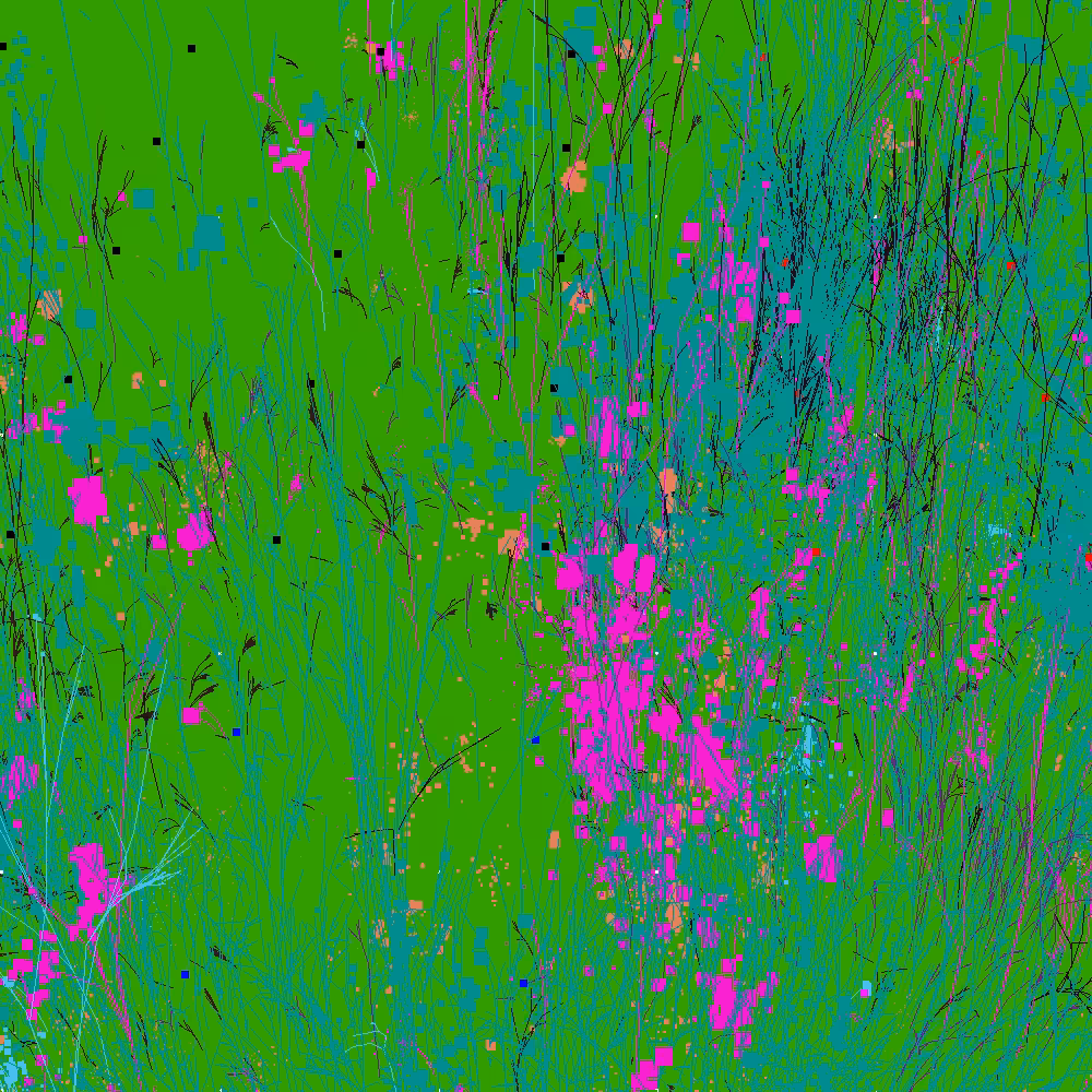 Infinite Garden: 14621 Flowers