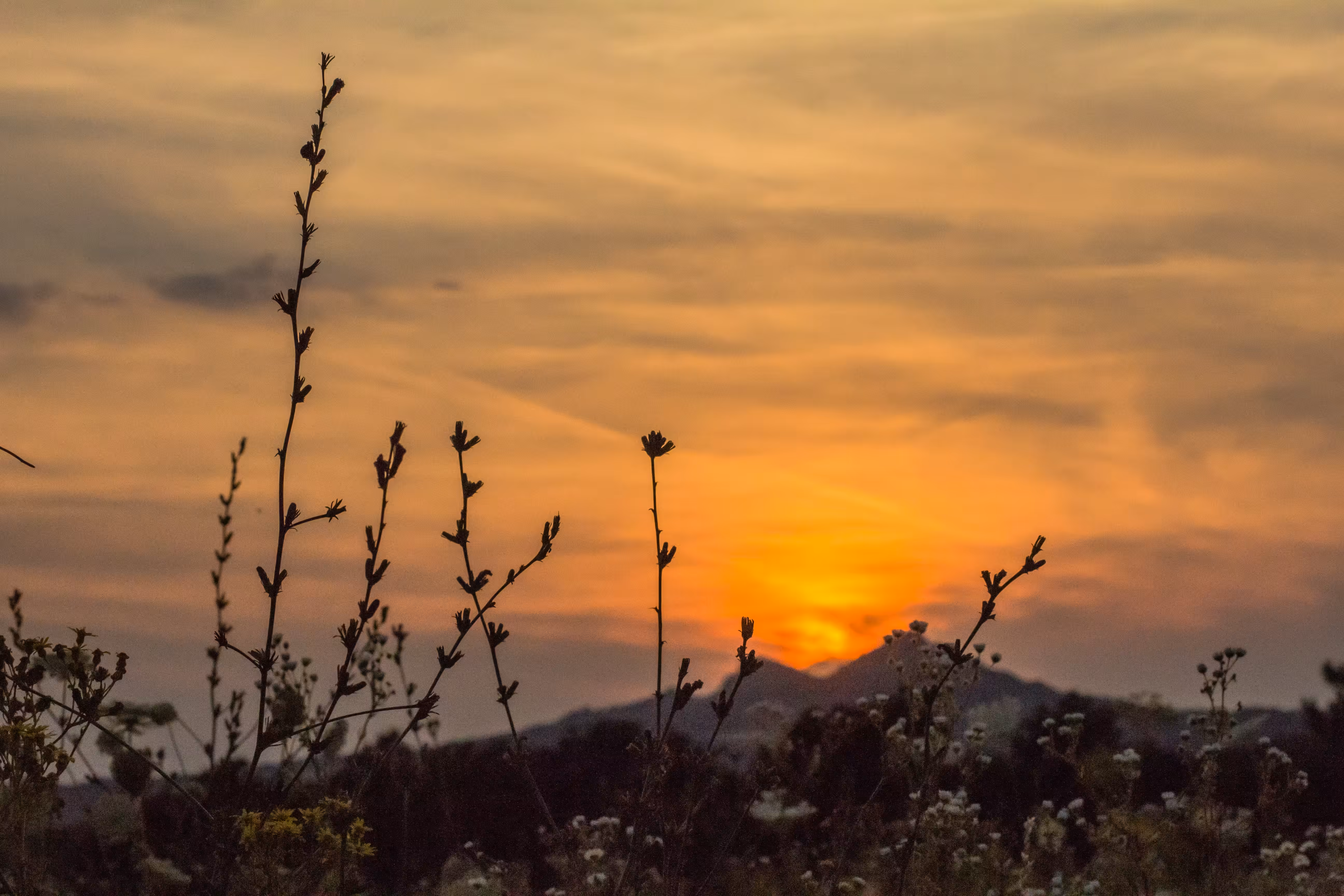 csobankapusta sunset 2