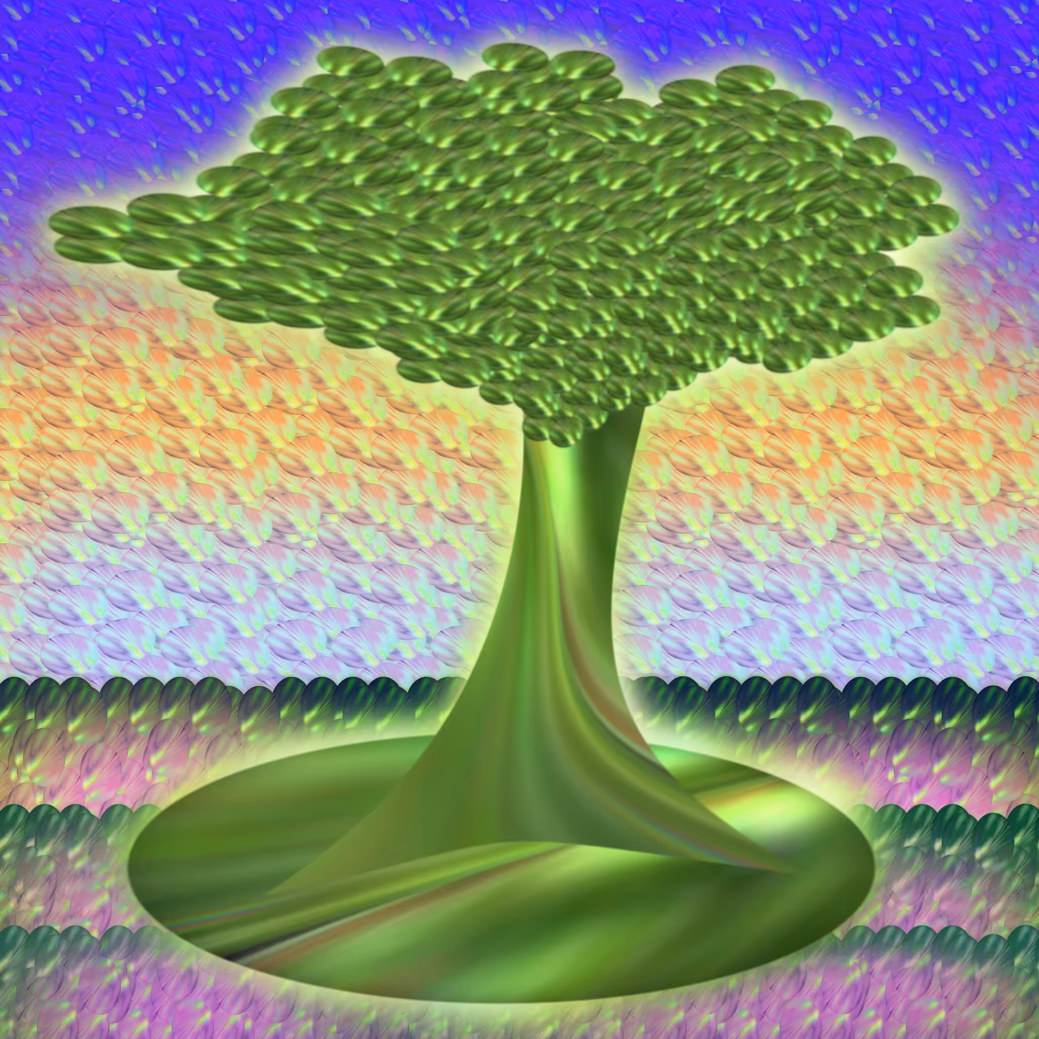 BB bonsai