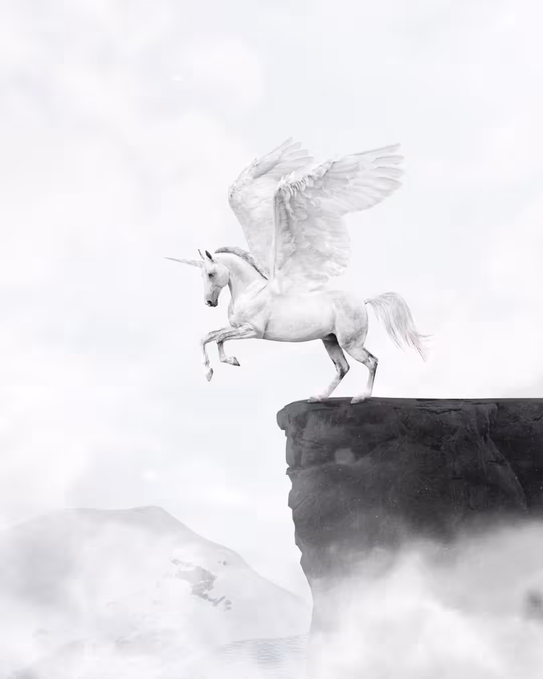 Pegasus Unicorn