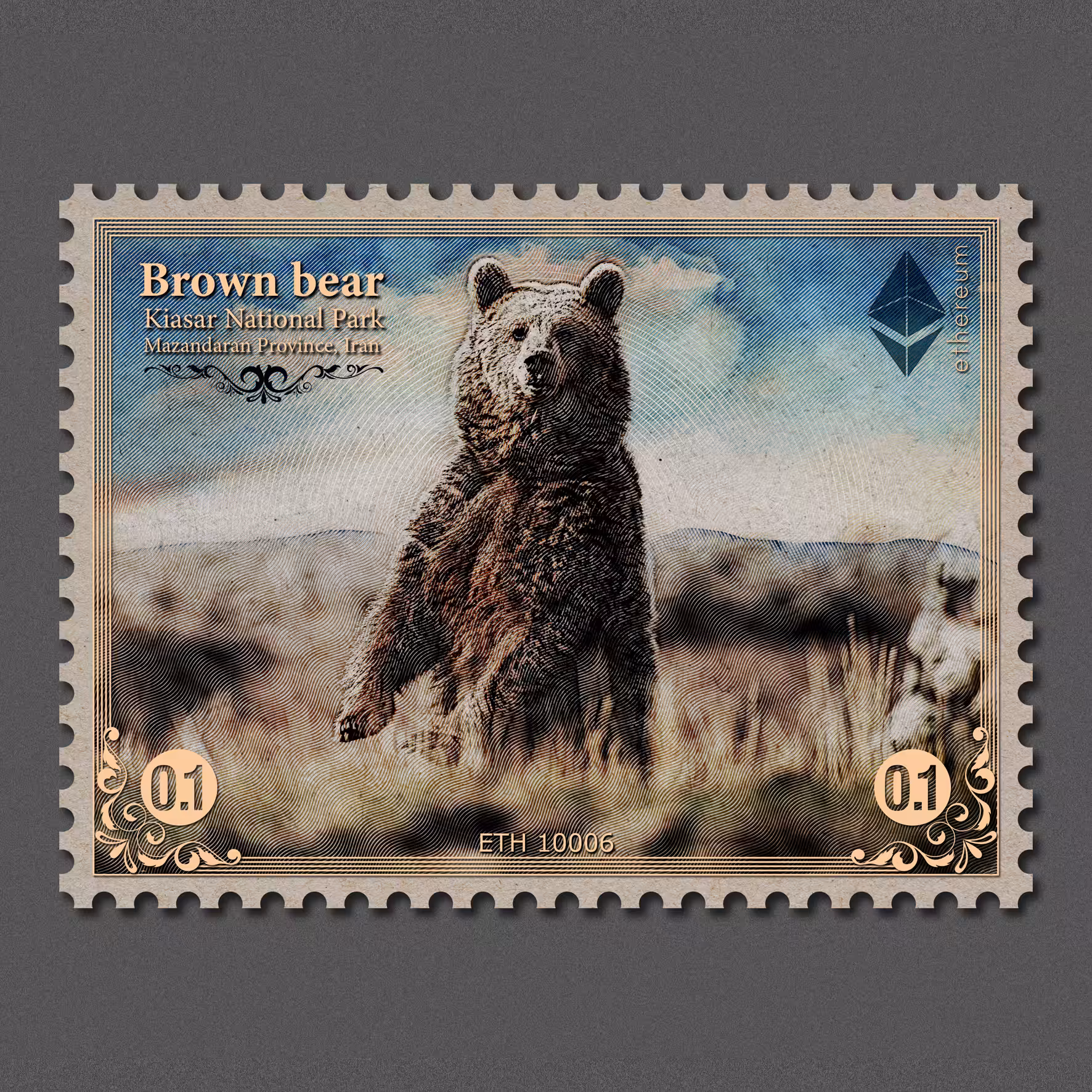Brown bear