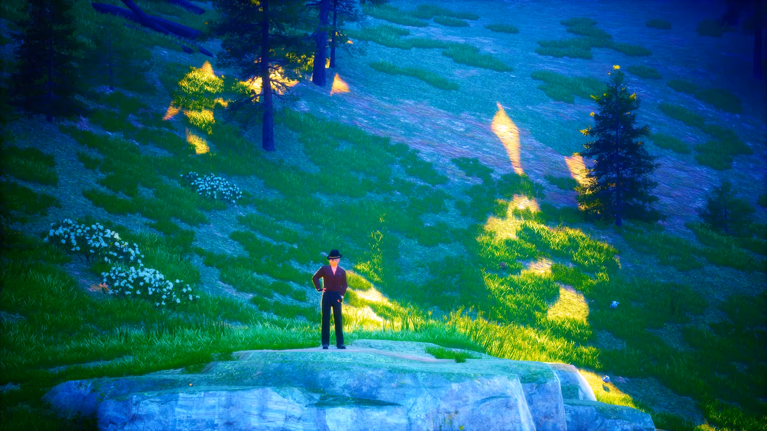 2024 12 27 18 18 33 2239012 (D Wanderer)