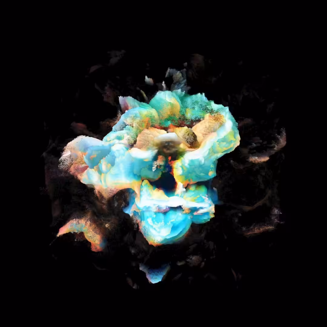Lucid