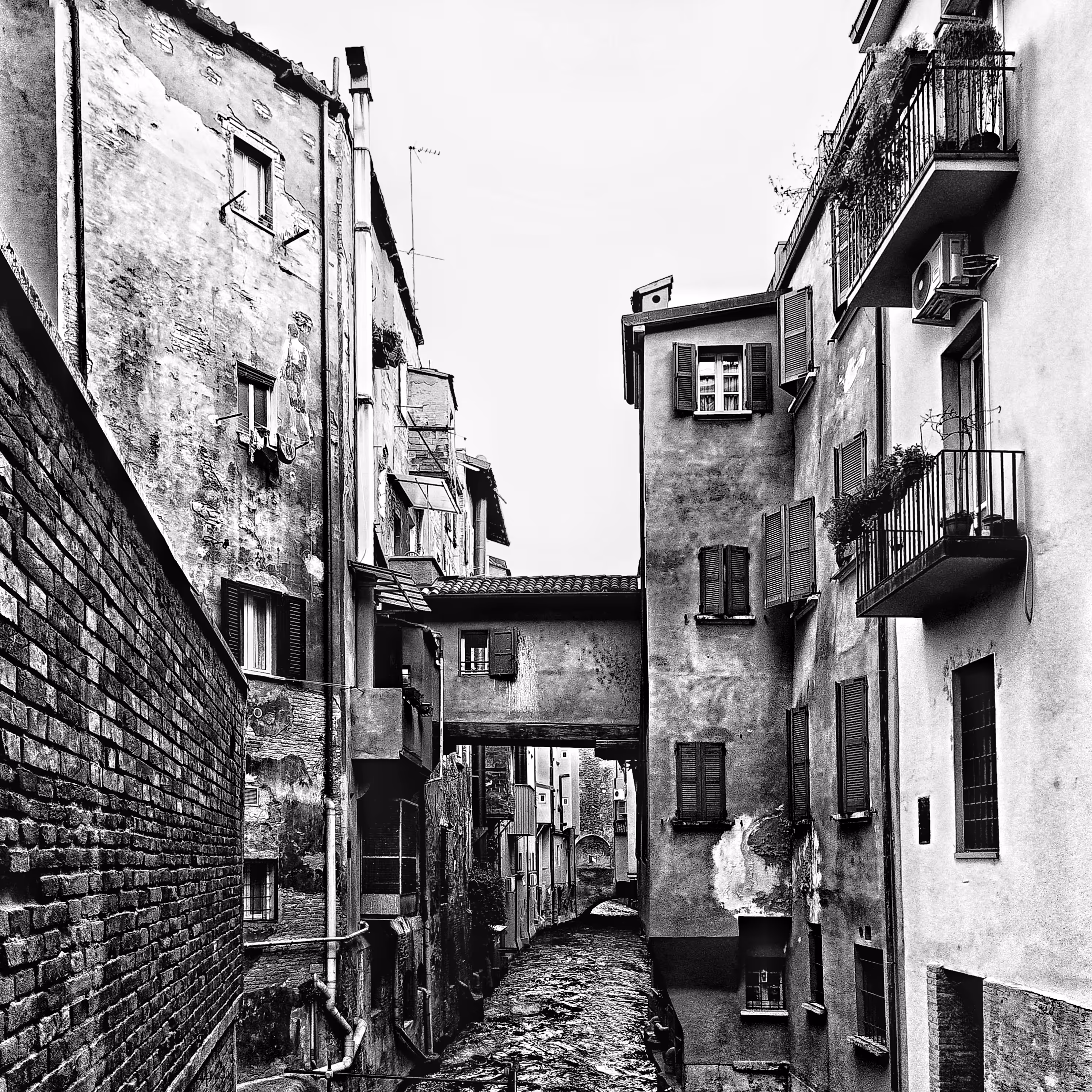 Lumen: Timeless Bologna