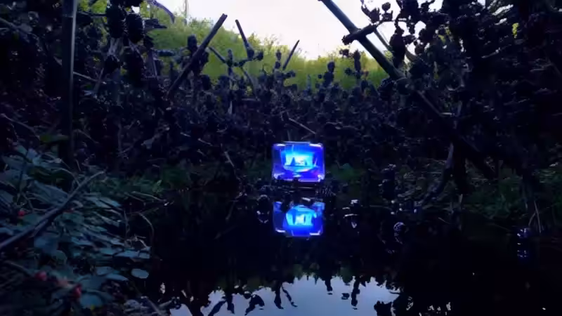 DX01: SINGULARITY 24165