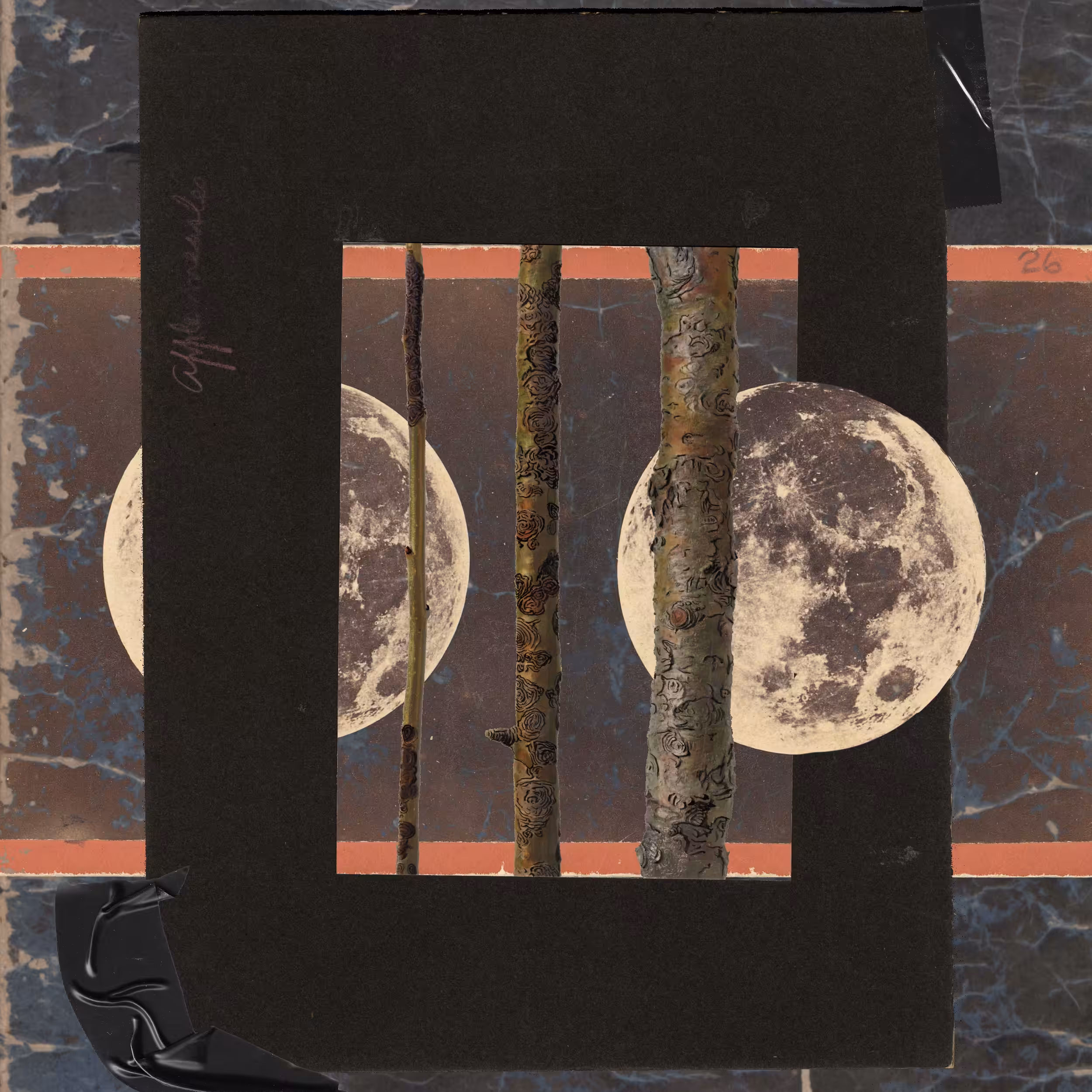 Lunar Divide
