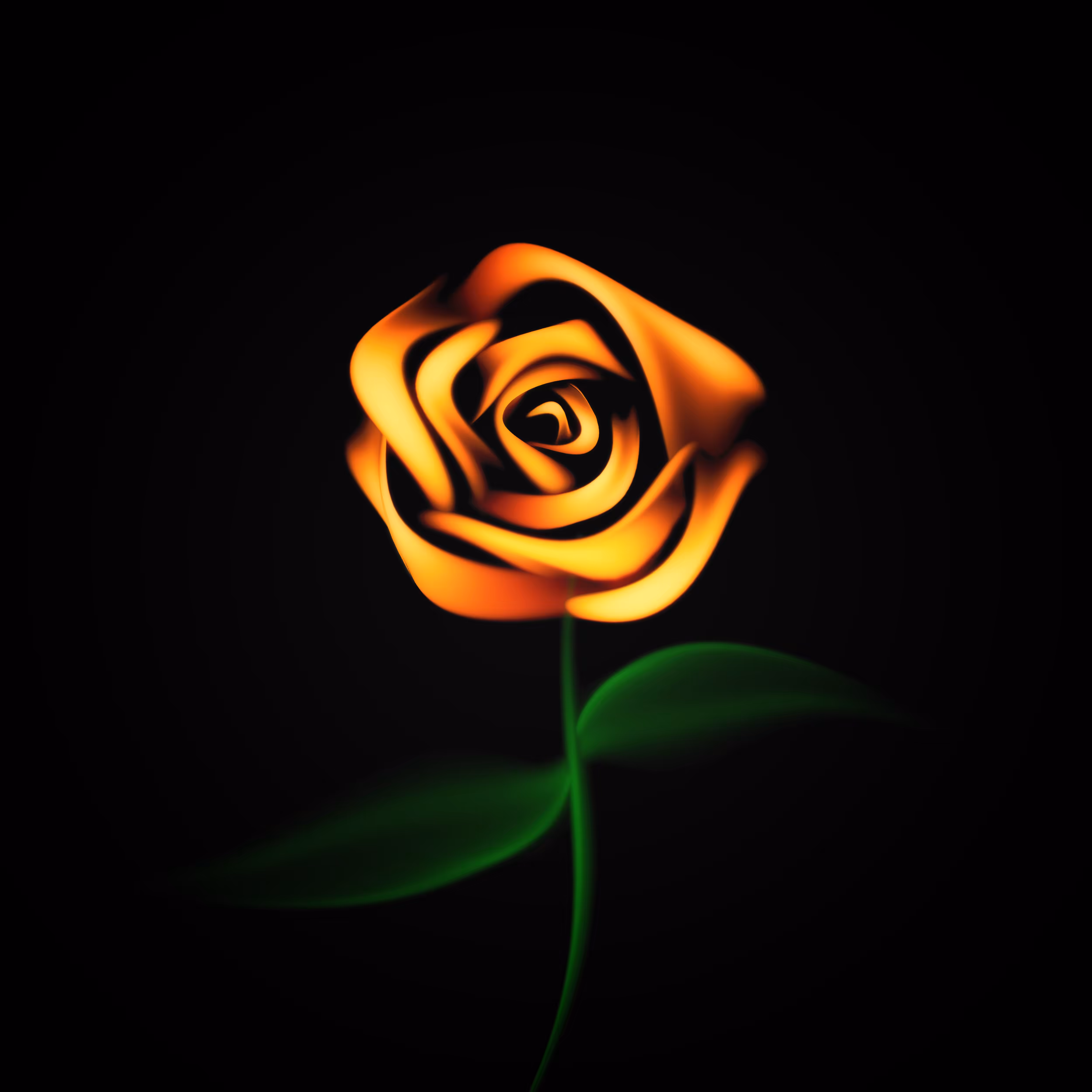 #6 - Rose