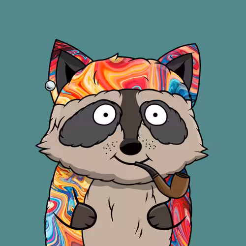 Raccoon #806