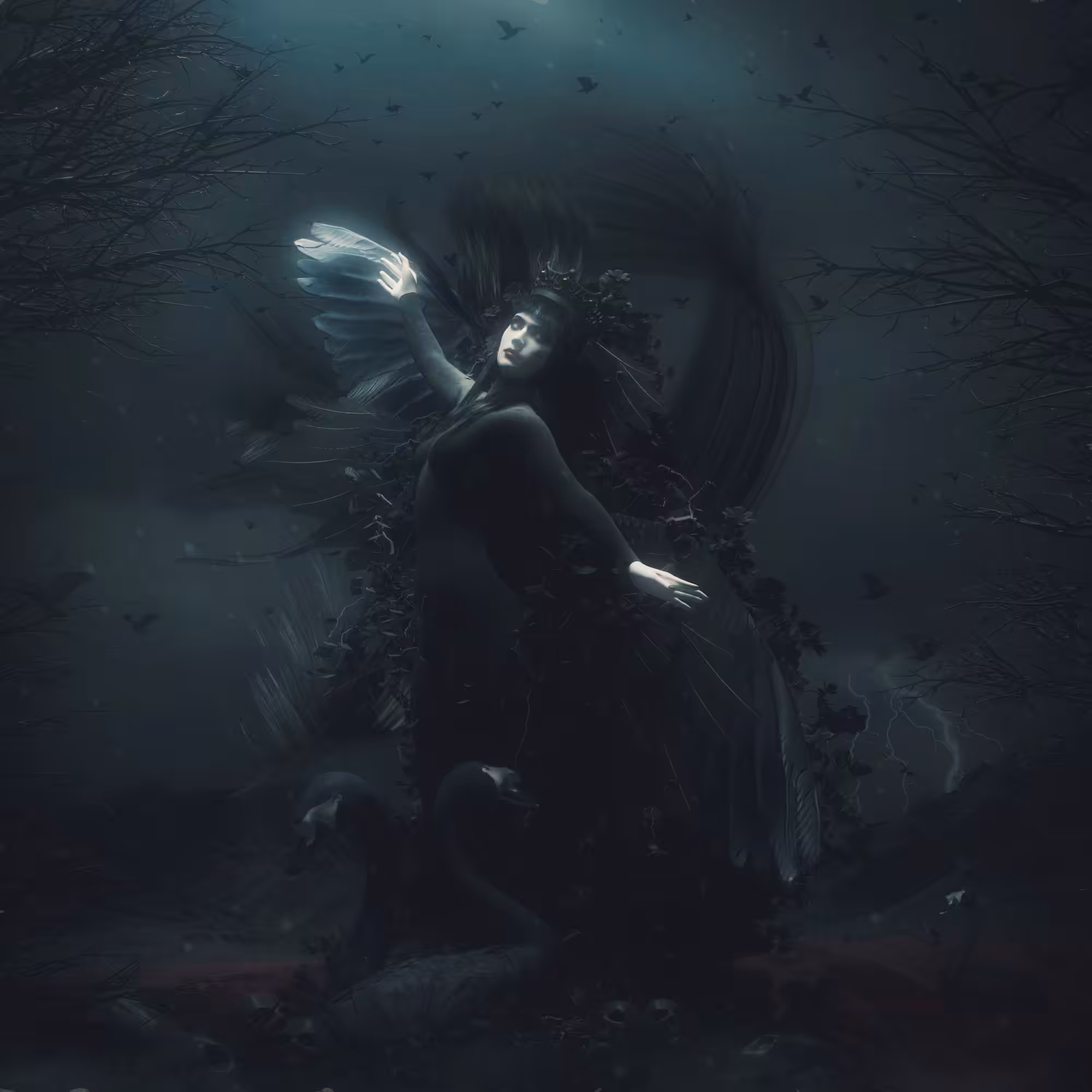 Black swans