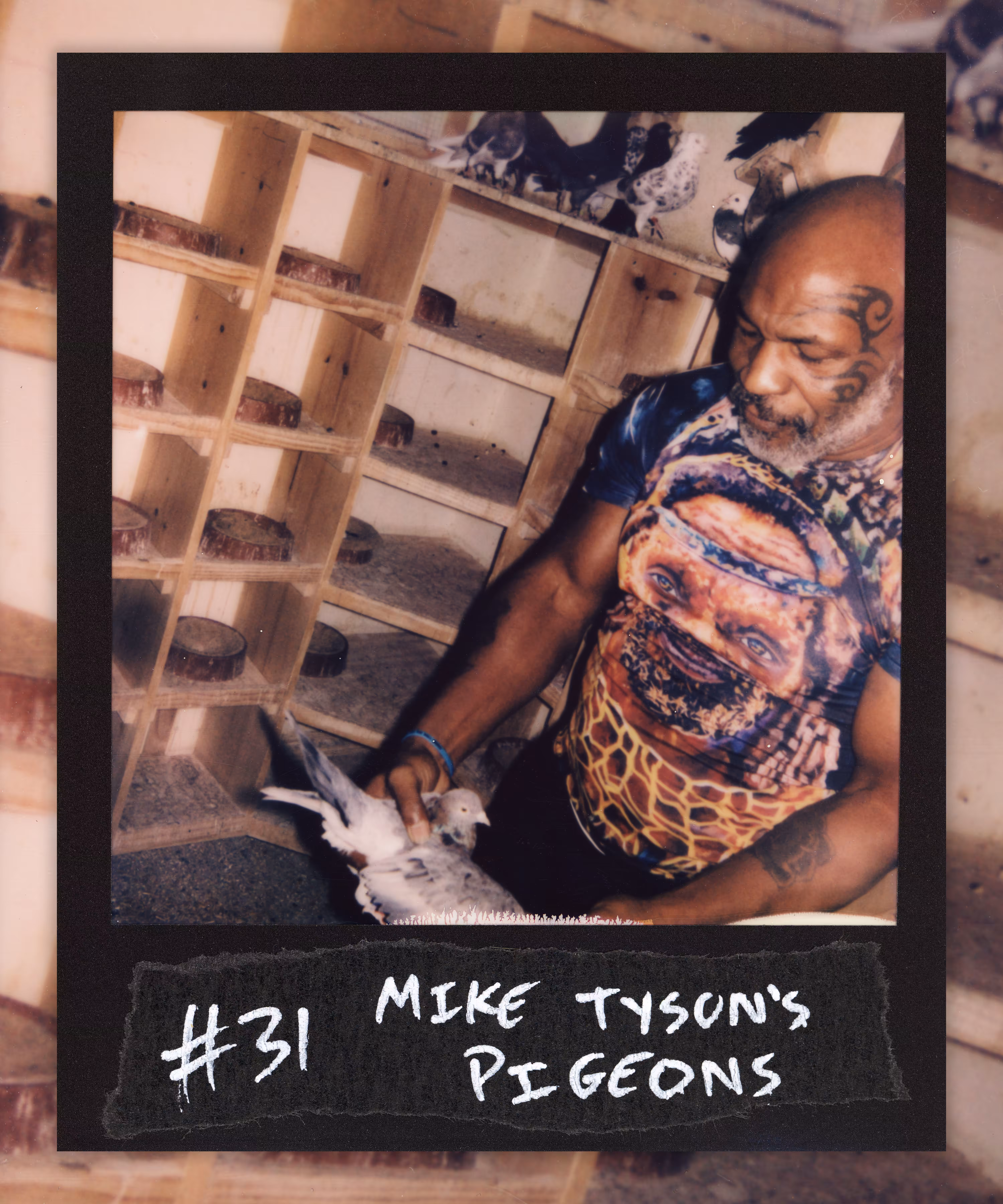 #31 MIKE TYSON'S PIGEONS