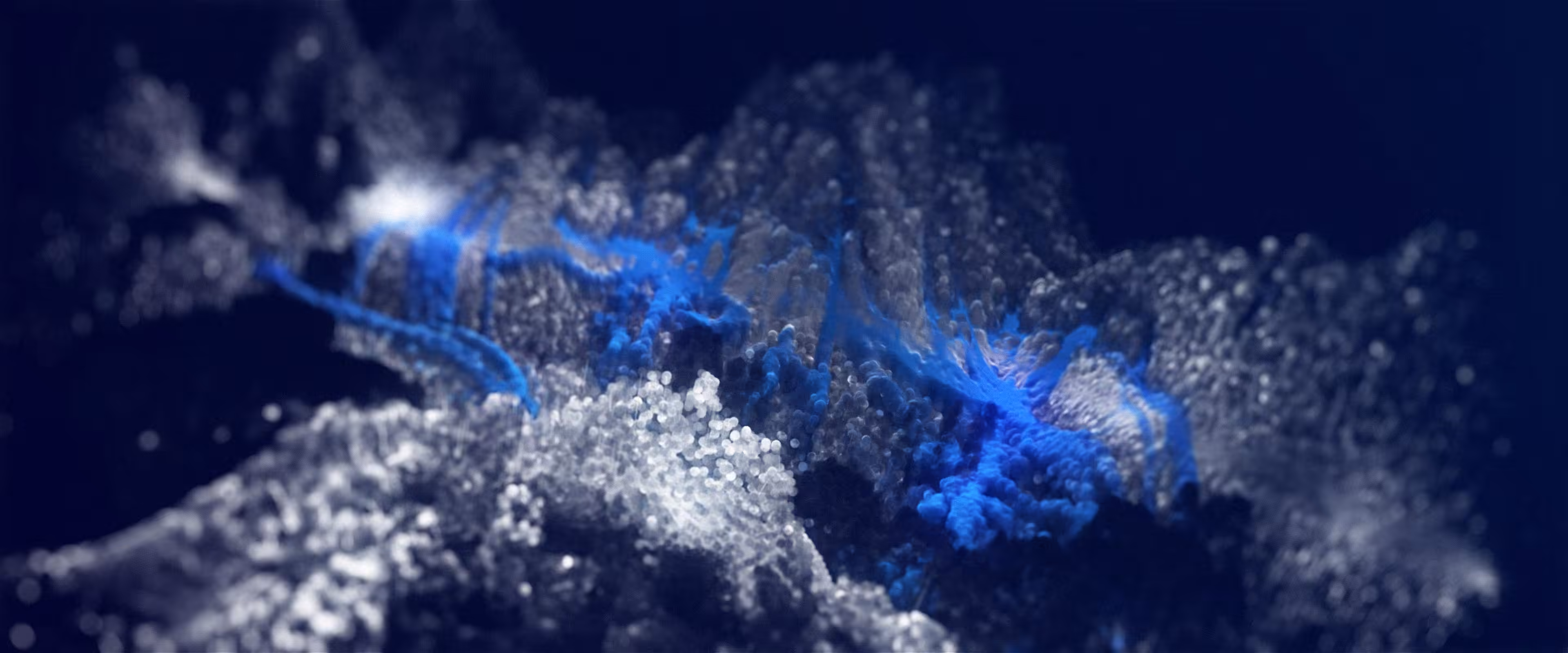 CRYSTAL RIVER