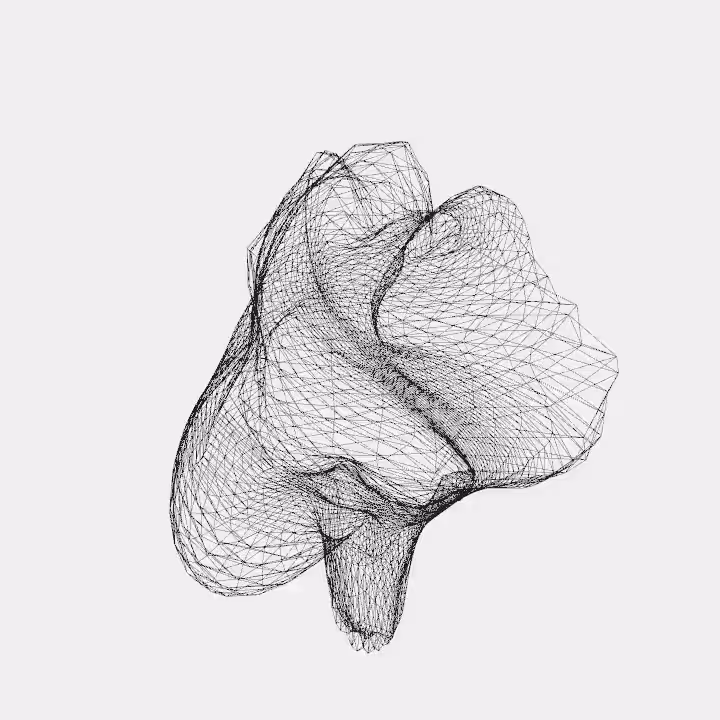 DoodleDeProgramming_20240415