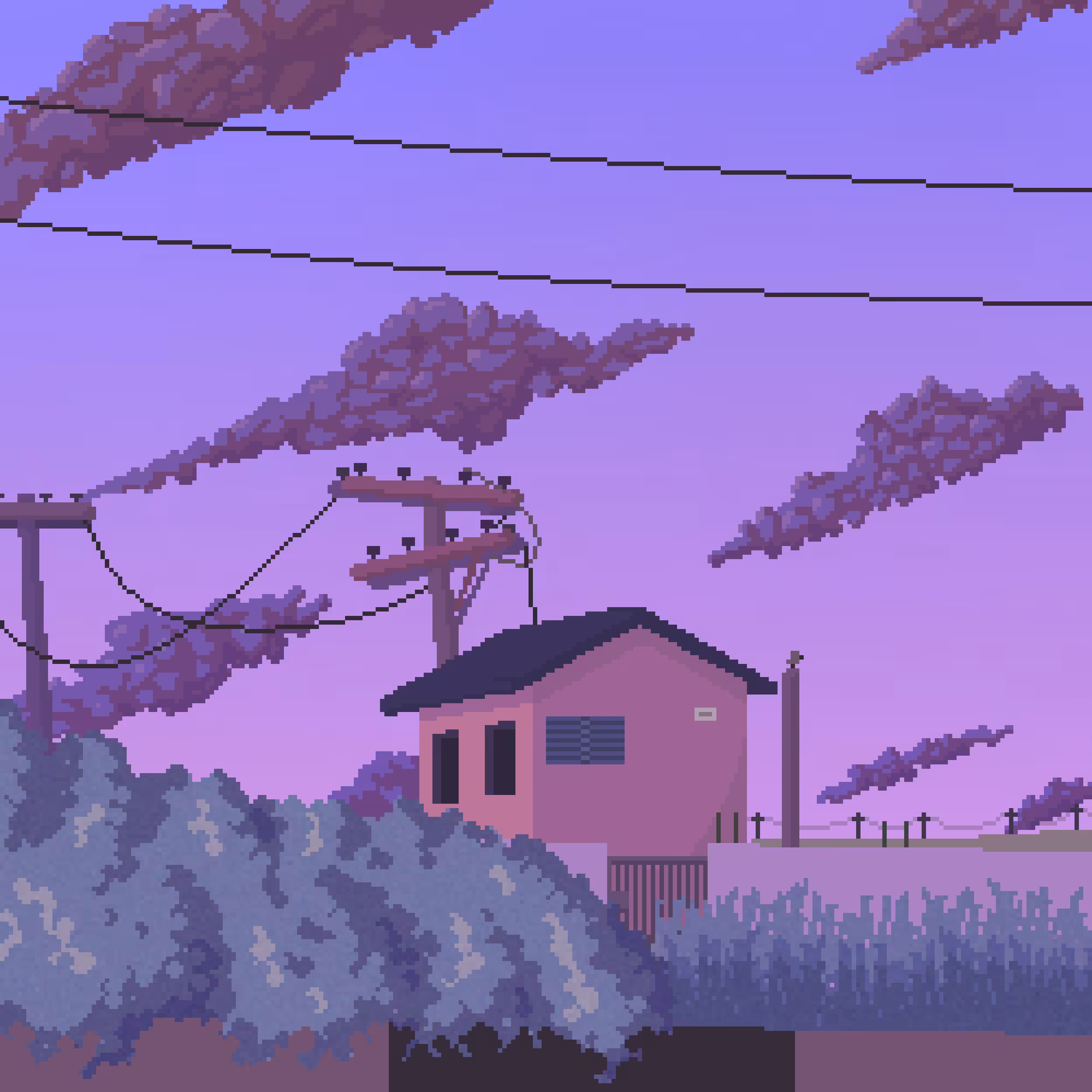 The House