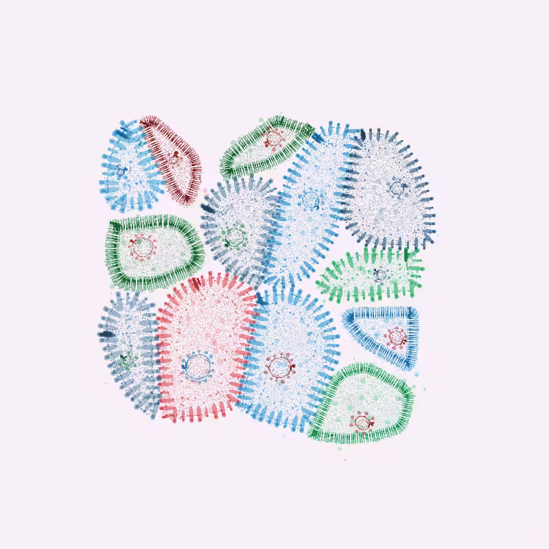 Organelles #5