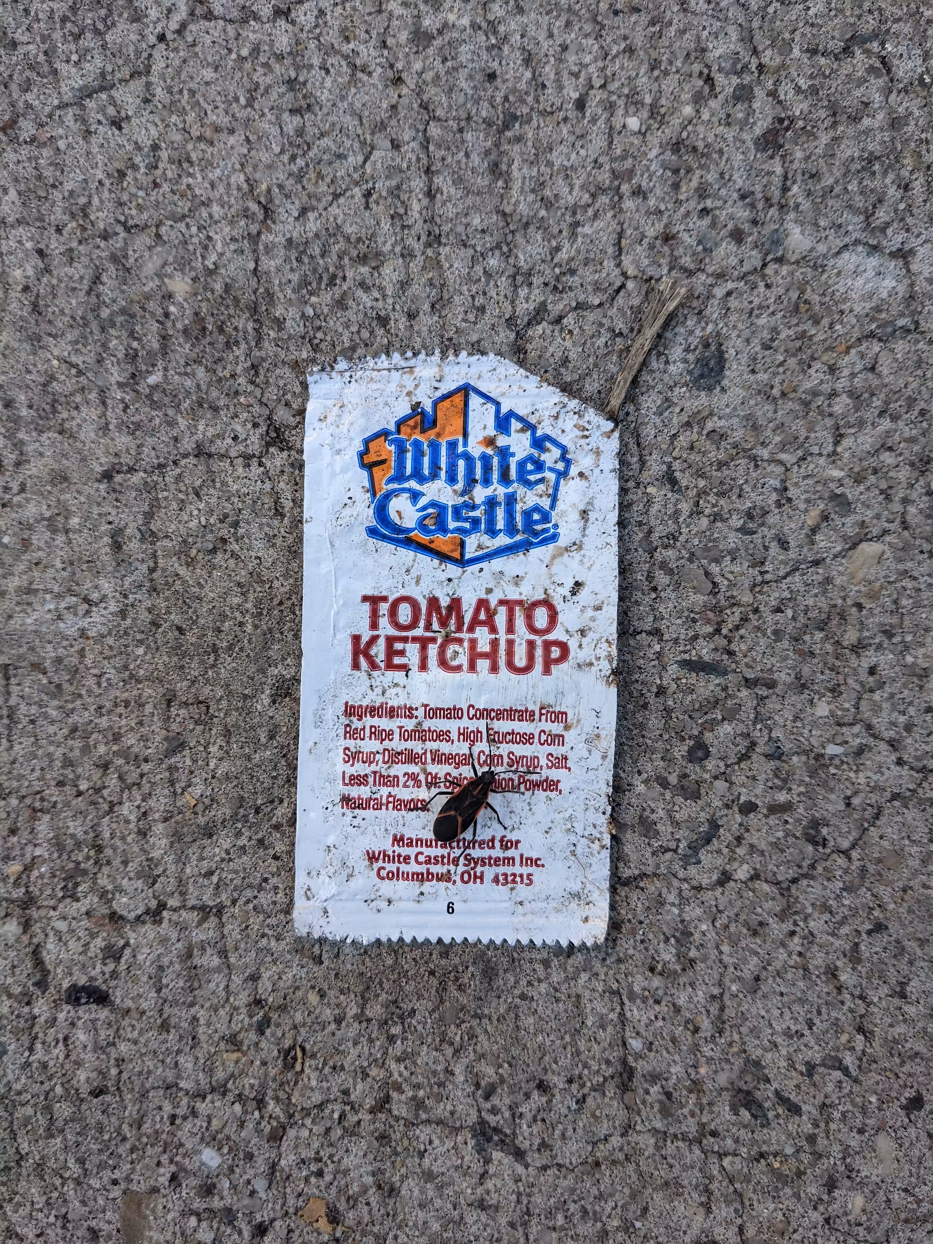 Ketchup #21