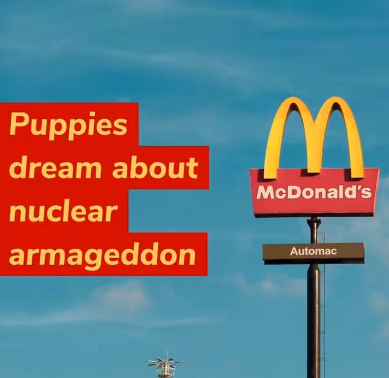 Cute and Tasty, 2022
