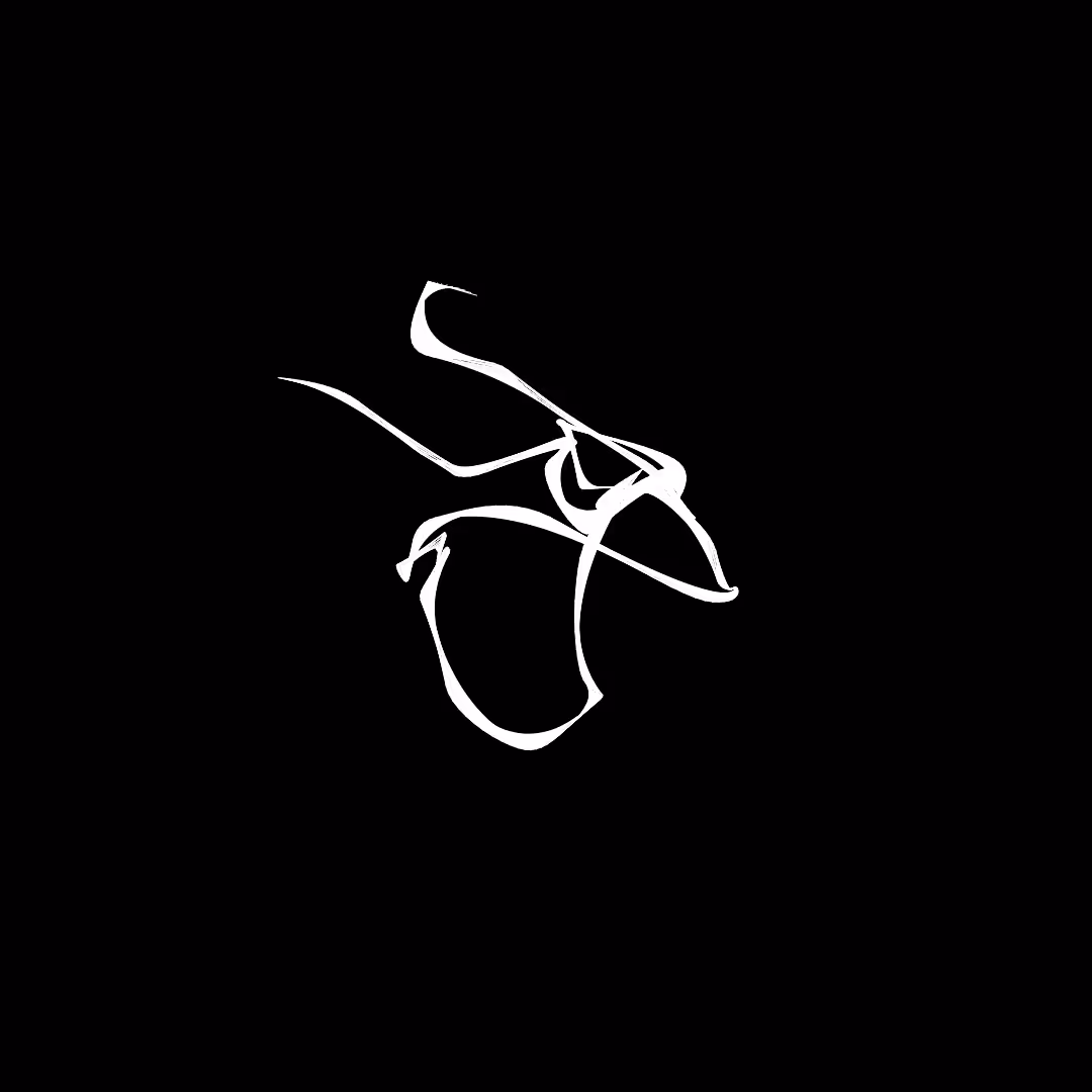 What do you see? #13