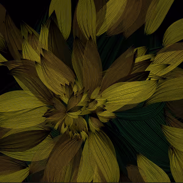 Petal in Hope of Light #2
