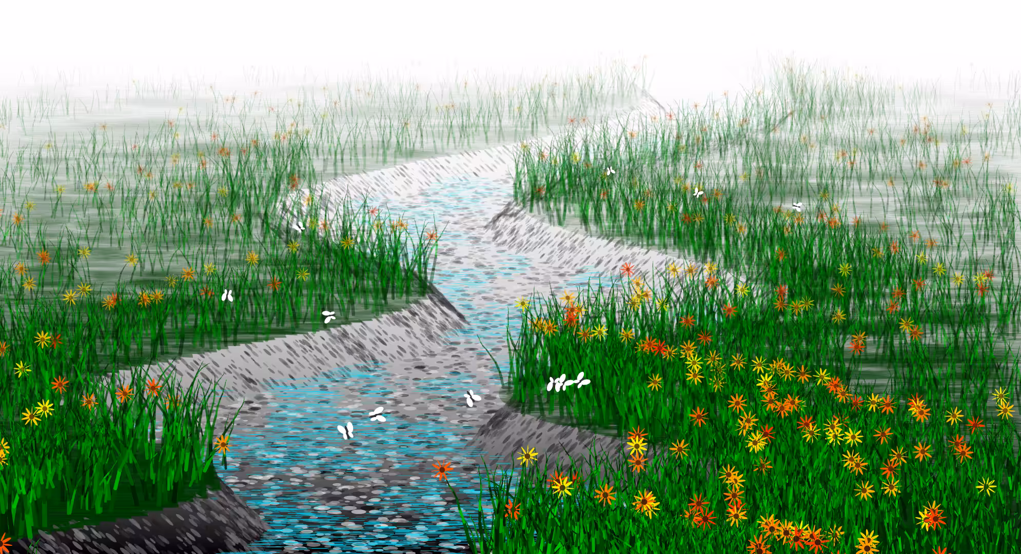 Wetlands #9