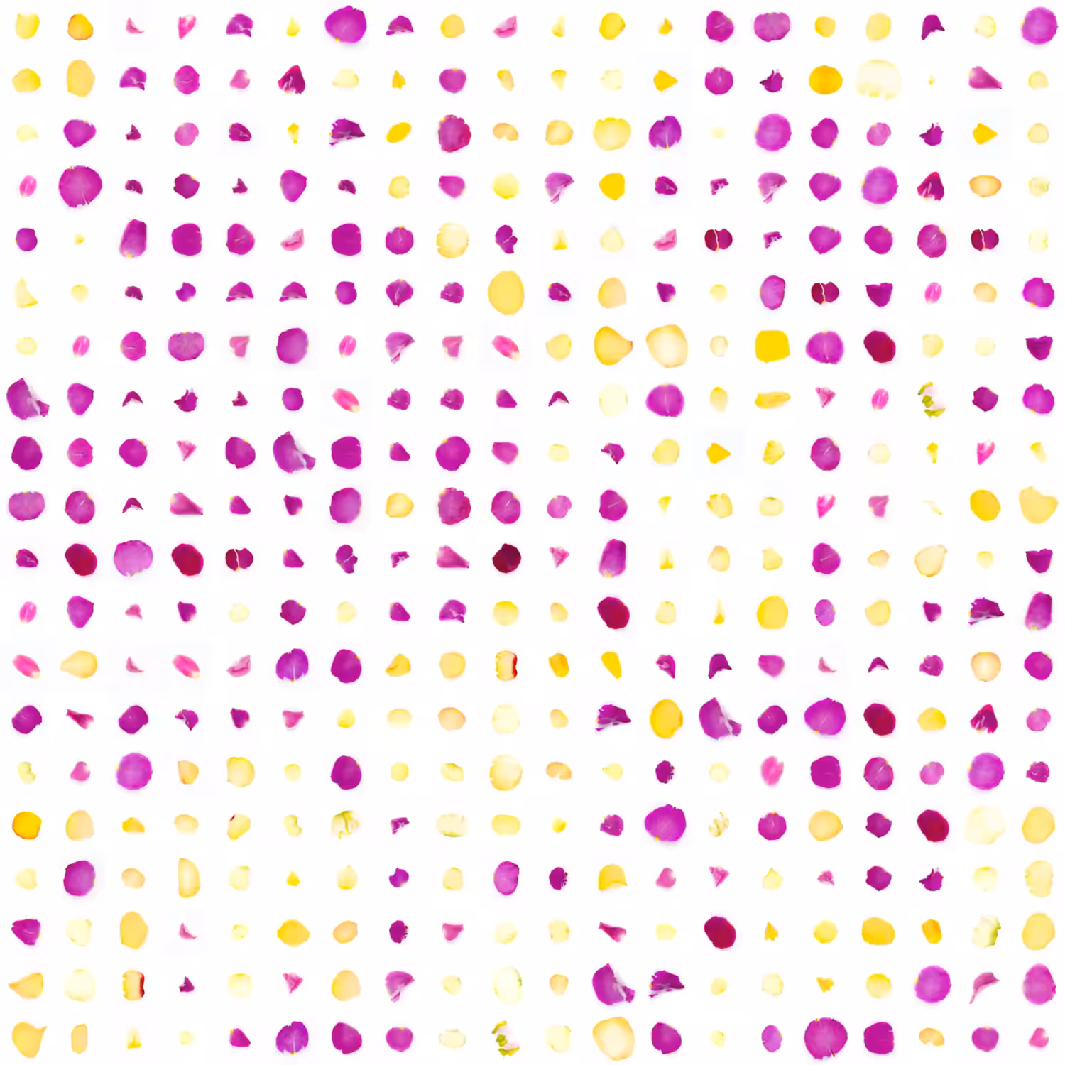 Infinite Petals 20x20#1386