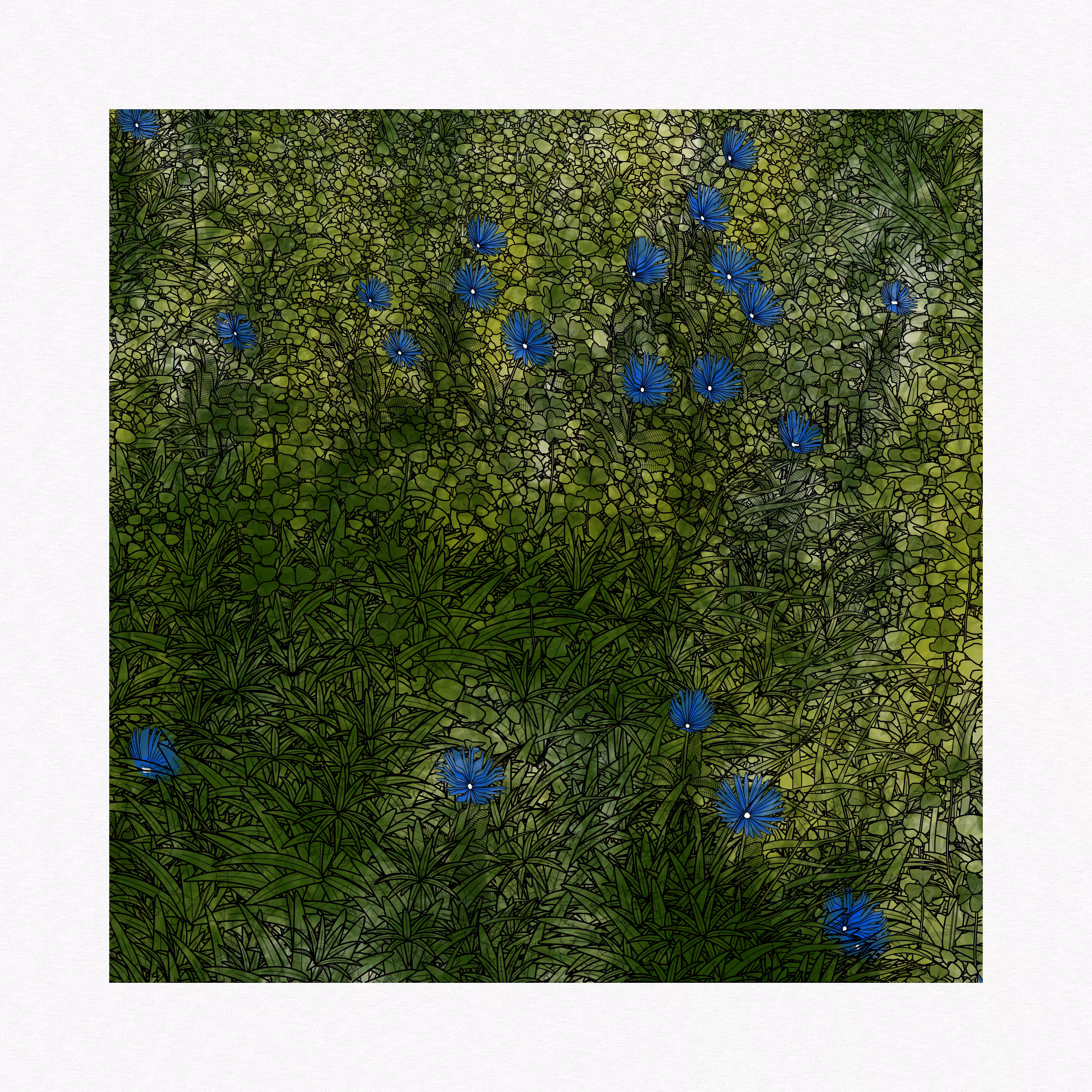 Stills From Last Night #06c — Blues Daisy