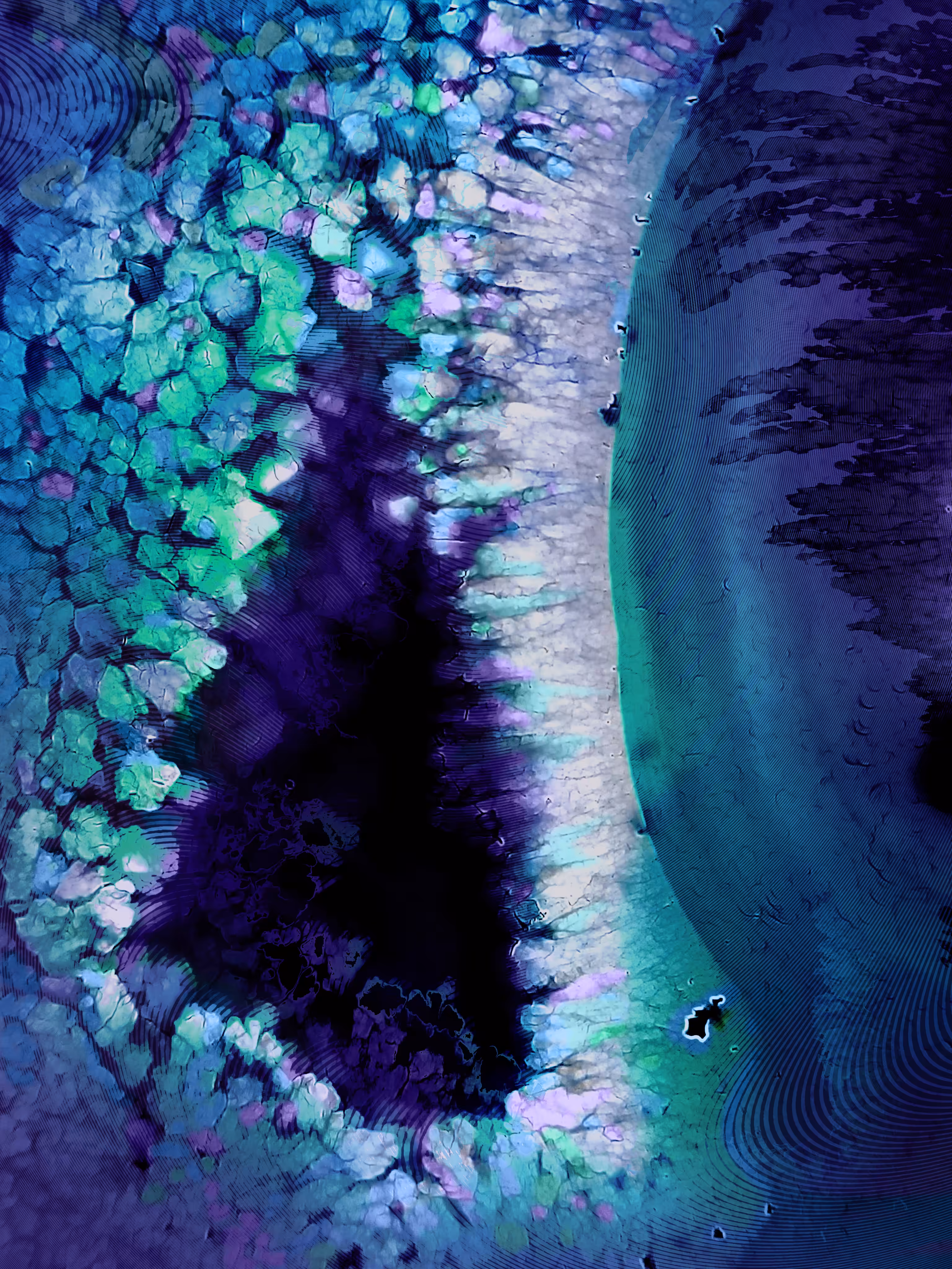 SECRET OF LAGUNA