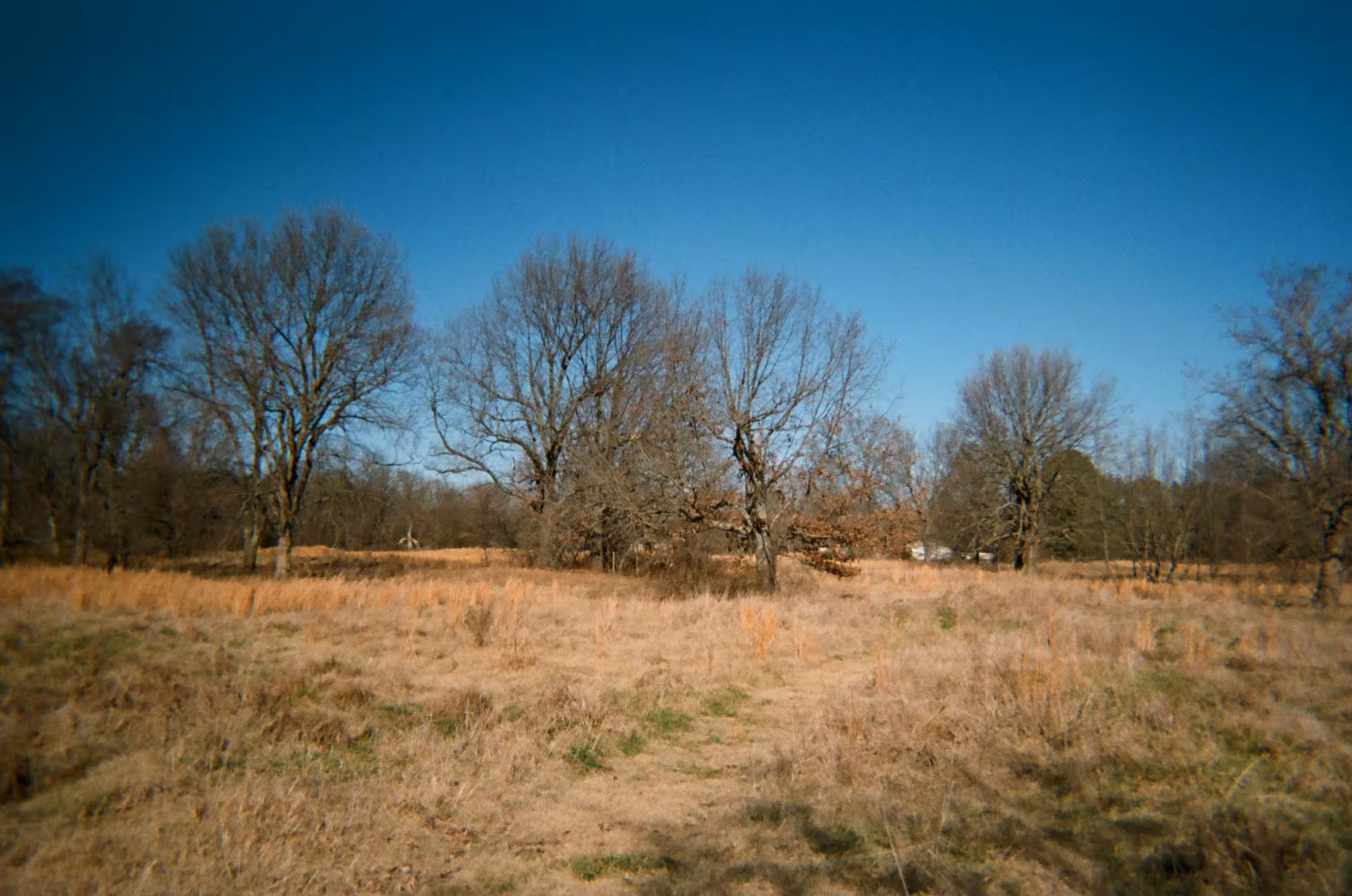 Fallow Fields