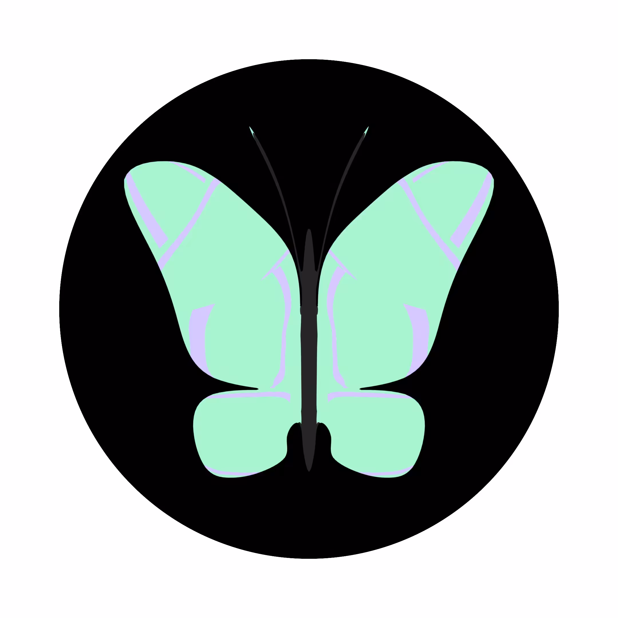 Aesthetic Butterfly #011