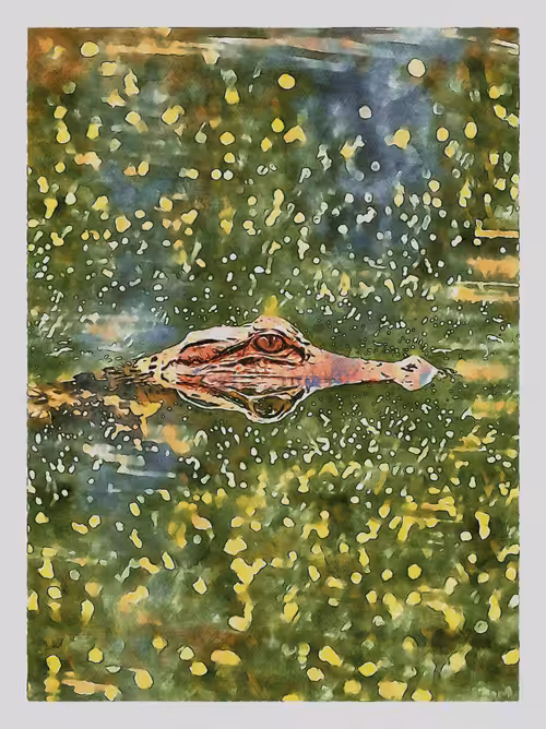 Watercolored 079