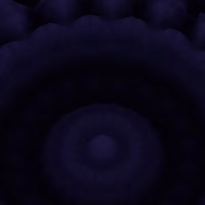 Bloom #1
