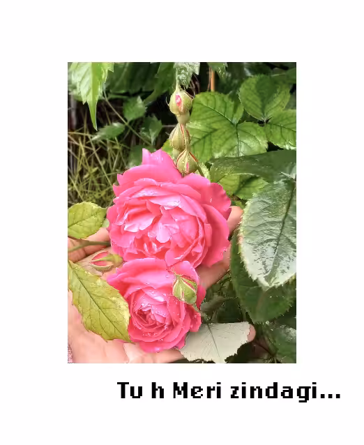 Tu h Meri zindagi