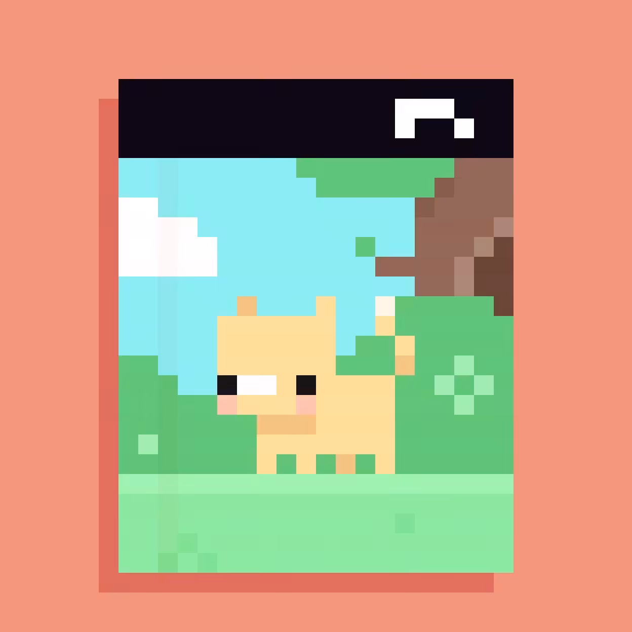 PADPET 1/3
