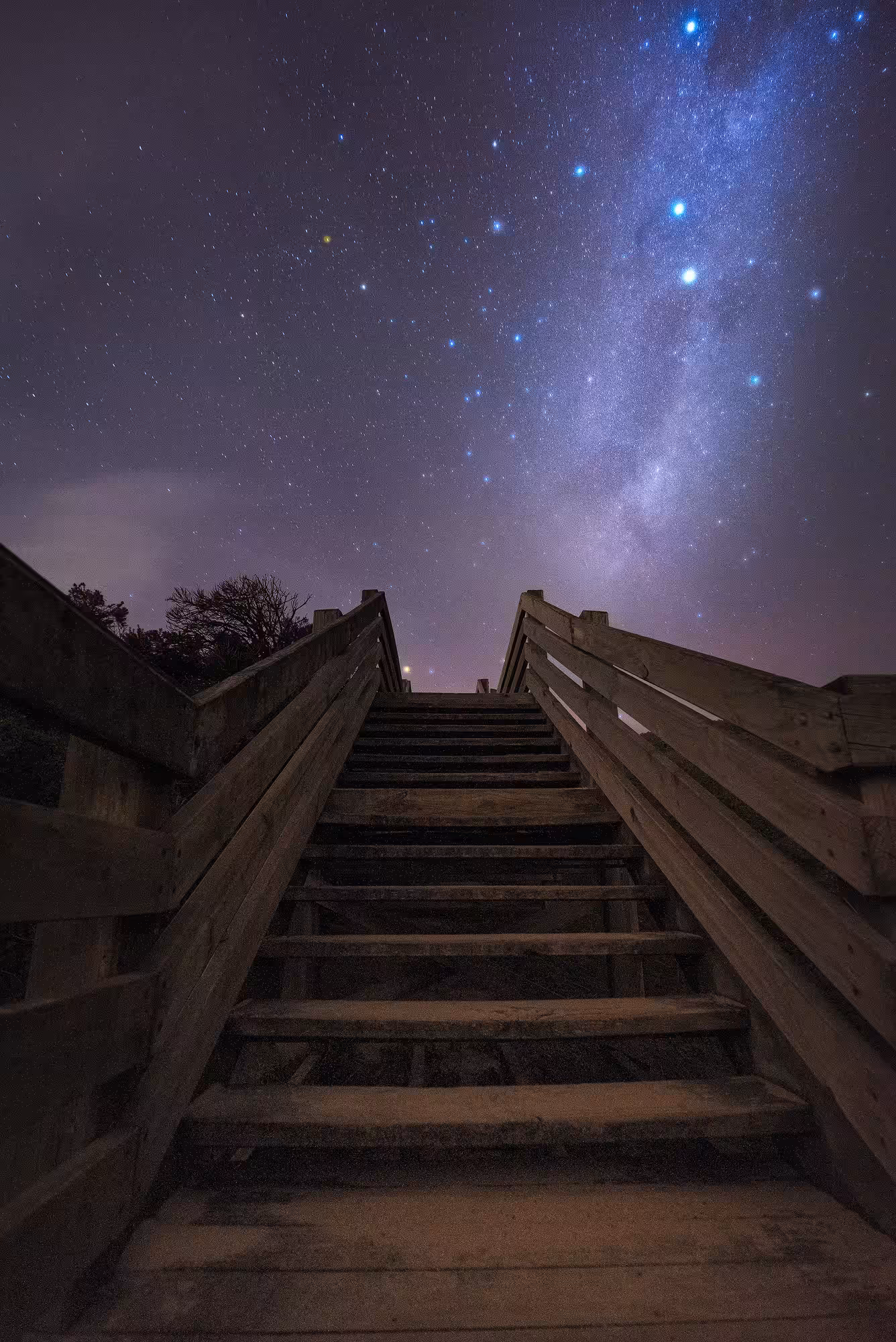 The Starry Nights #8