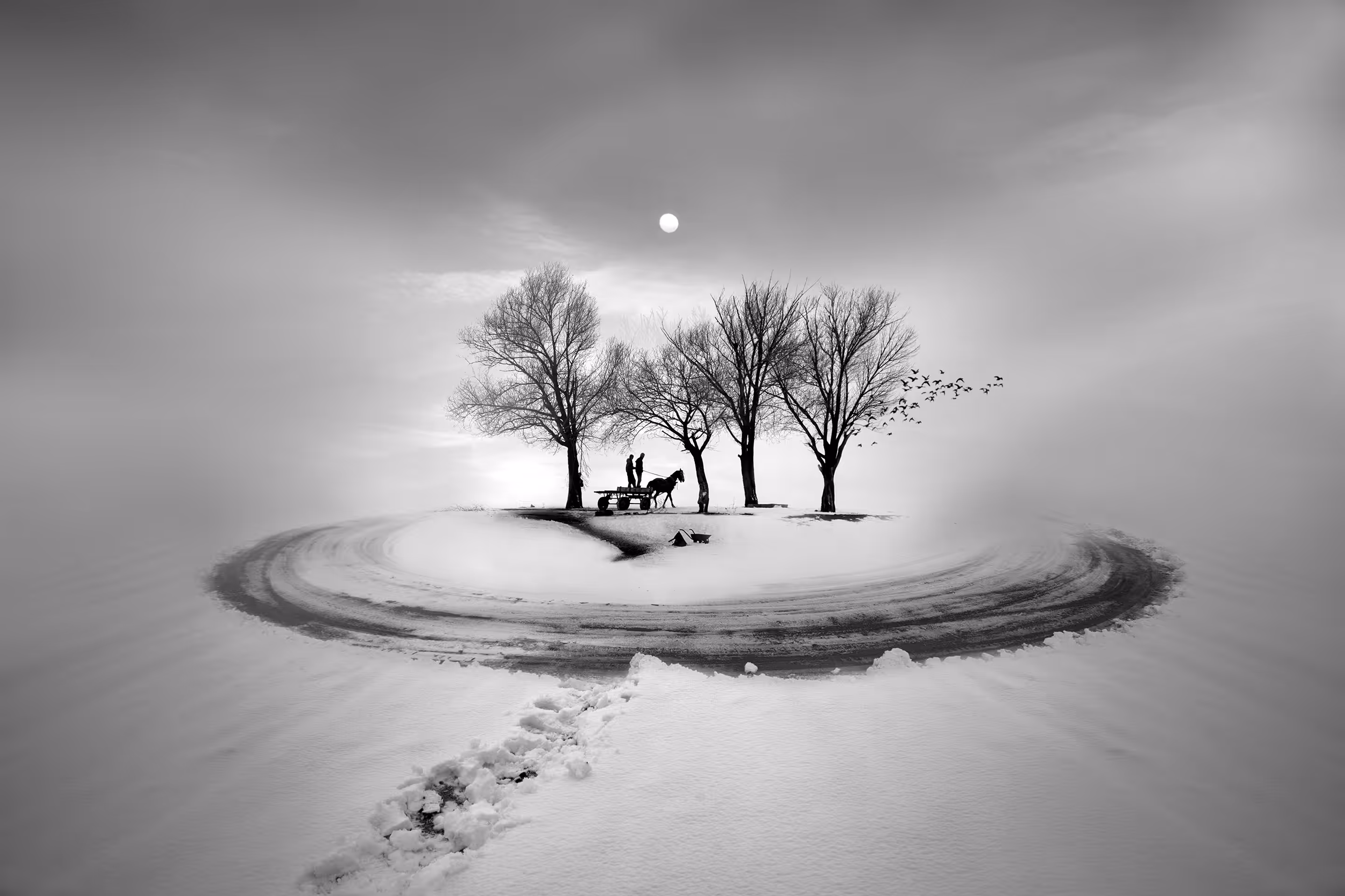 white infinity