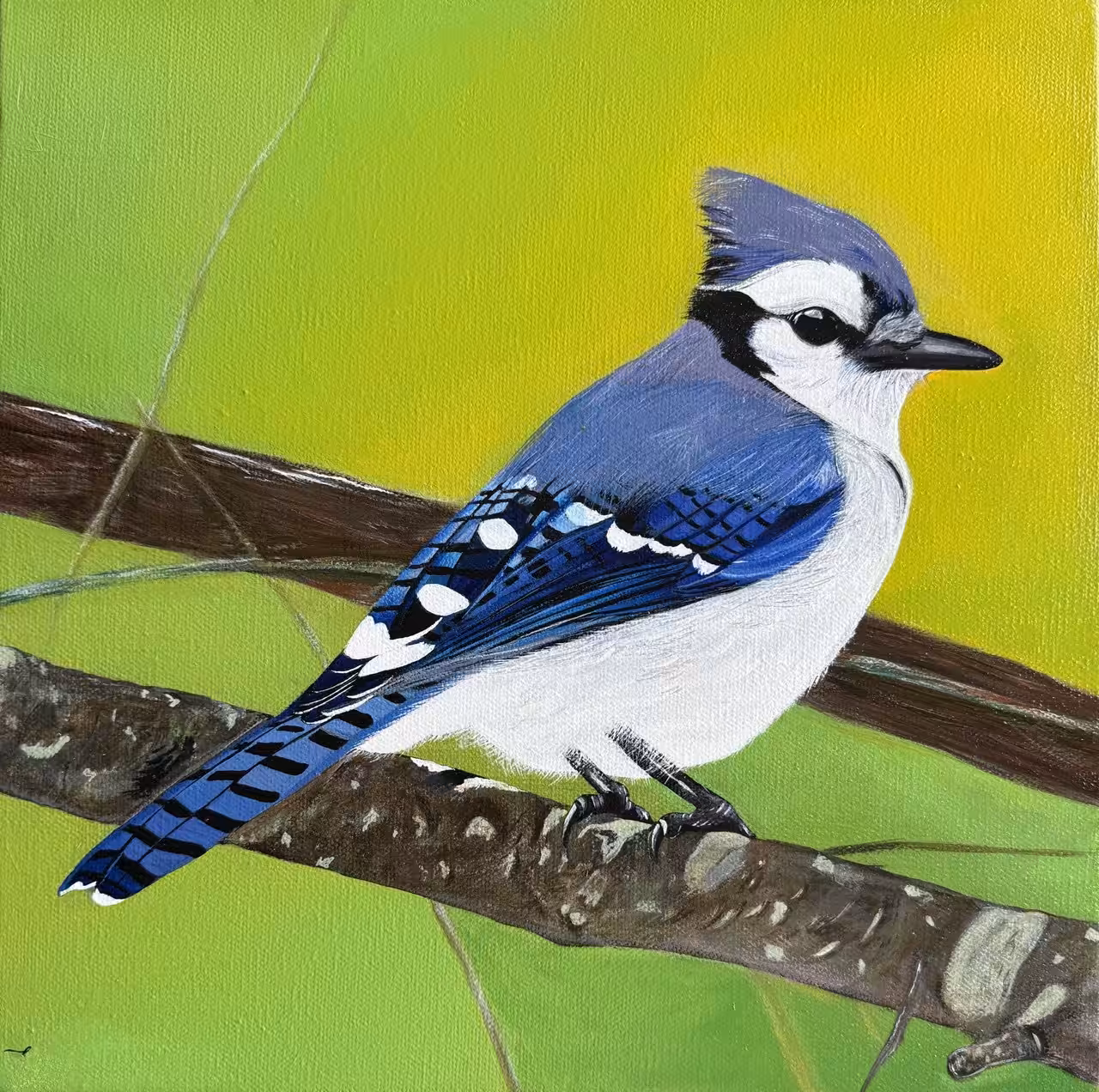 The Blue Jay