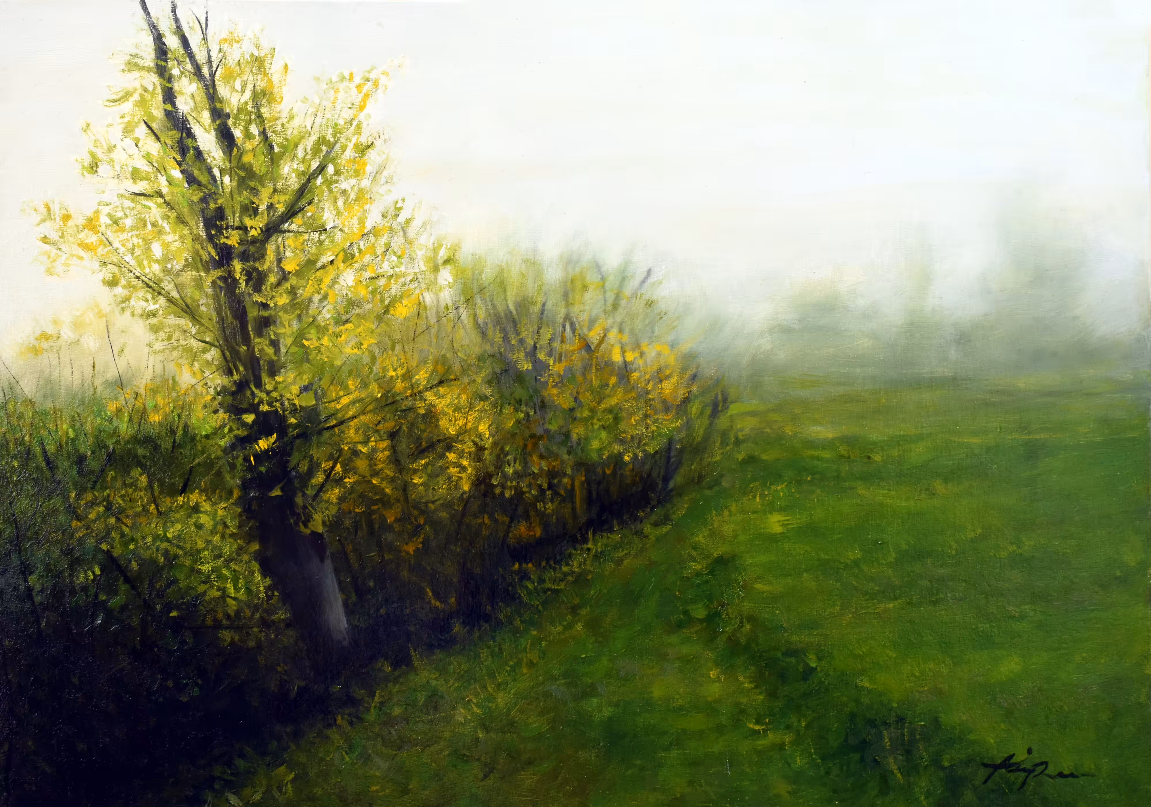Garden in foggy weather
