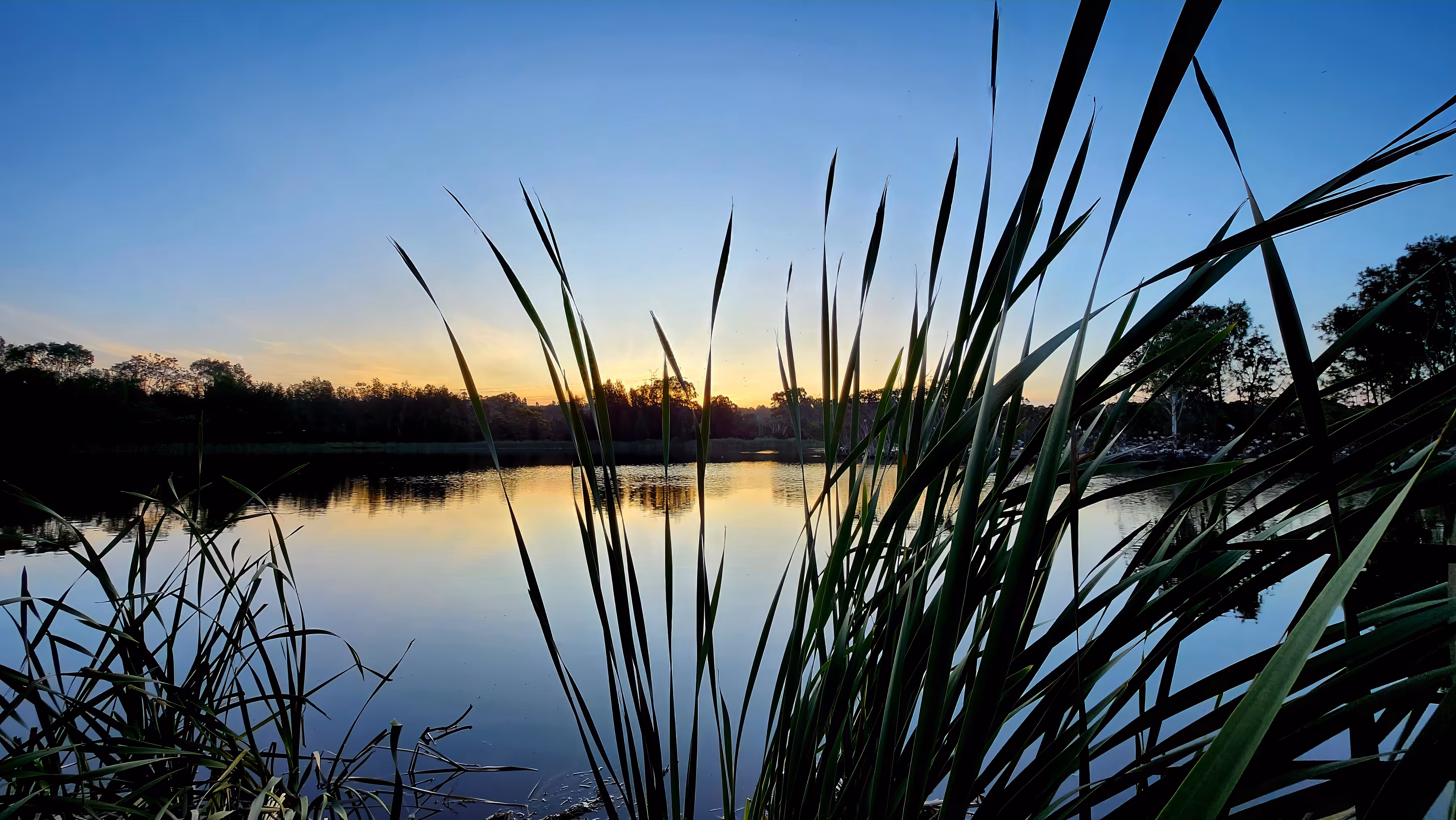 Serenity at Sunset