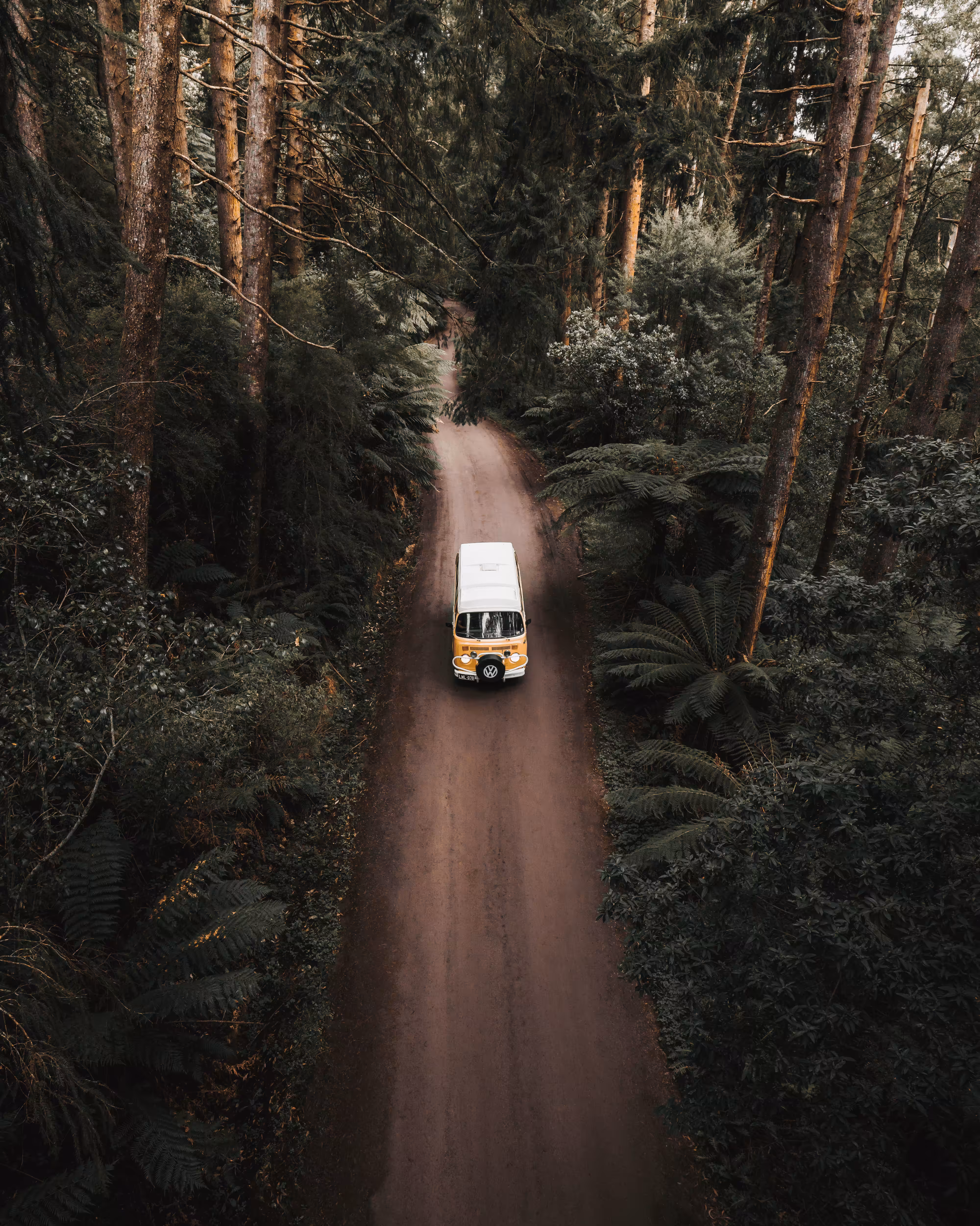 #20. Journey Ahead