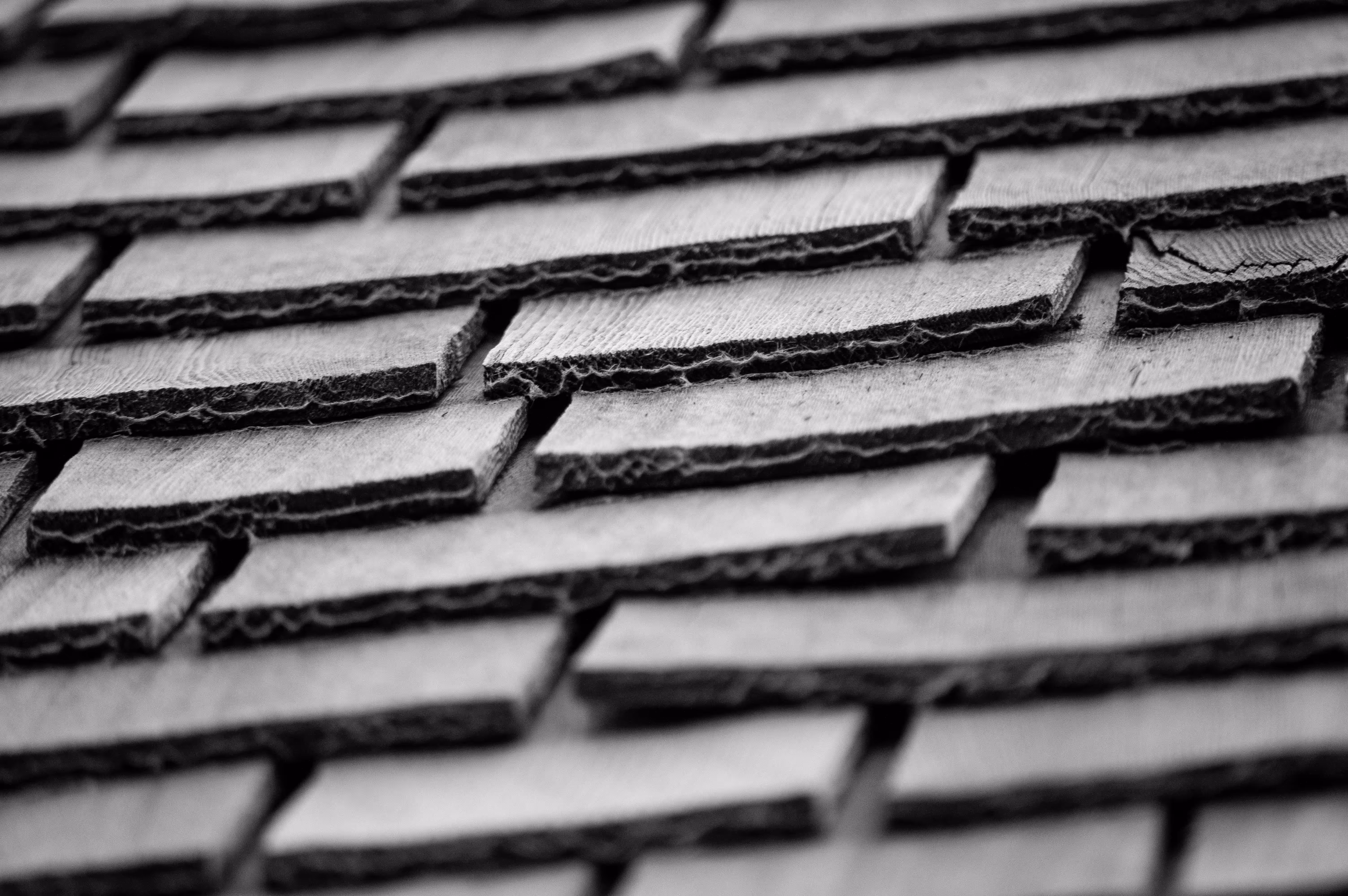 shingles