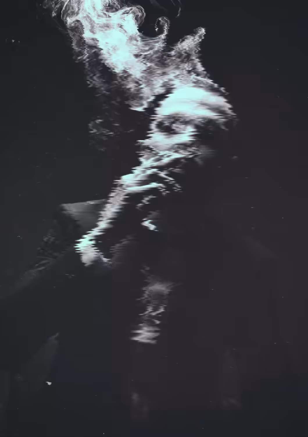 Toxic Society