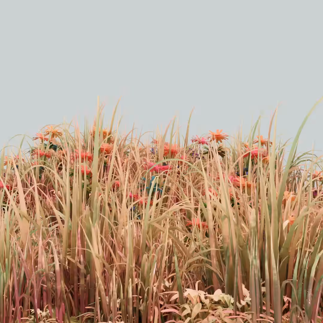 Generative Flower Field 🌻