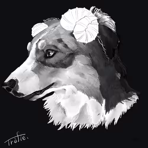 Horns x Animals-olive-