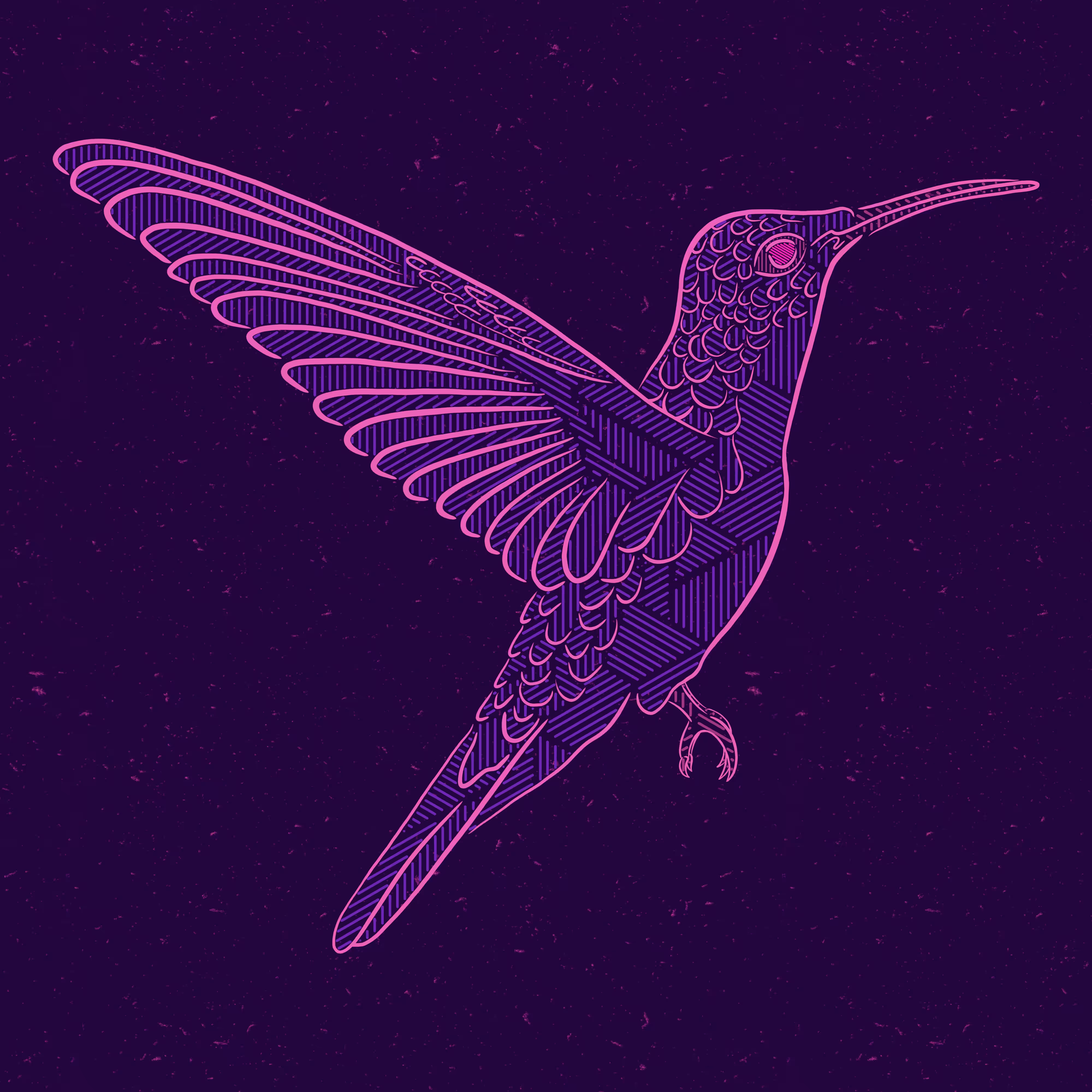 Hummingbird la#16