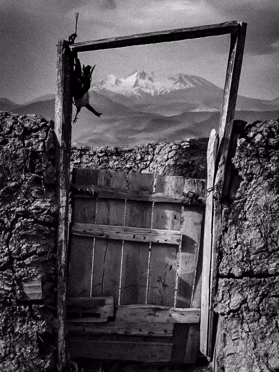 Gate