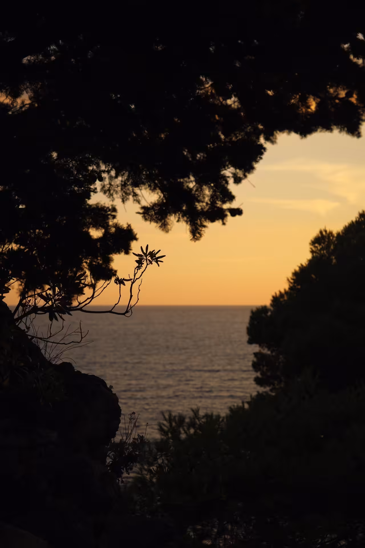 The Adriatic Sea
